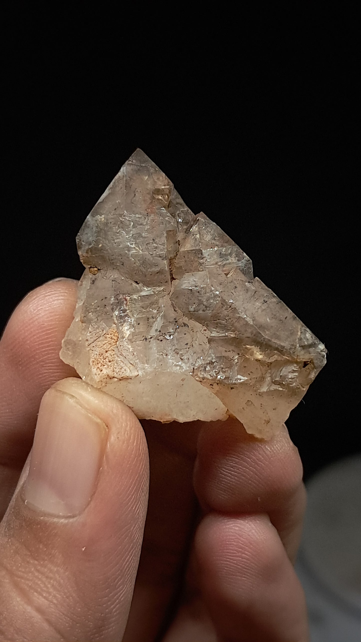 Elestial Smokey Quartz (Karur) Raw Natural Crystal Stone | Mineral Specimen #EQ21