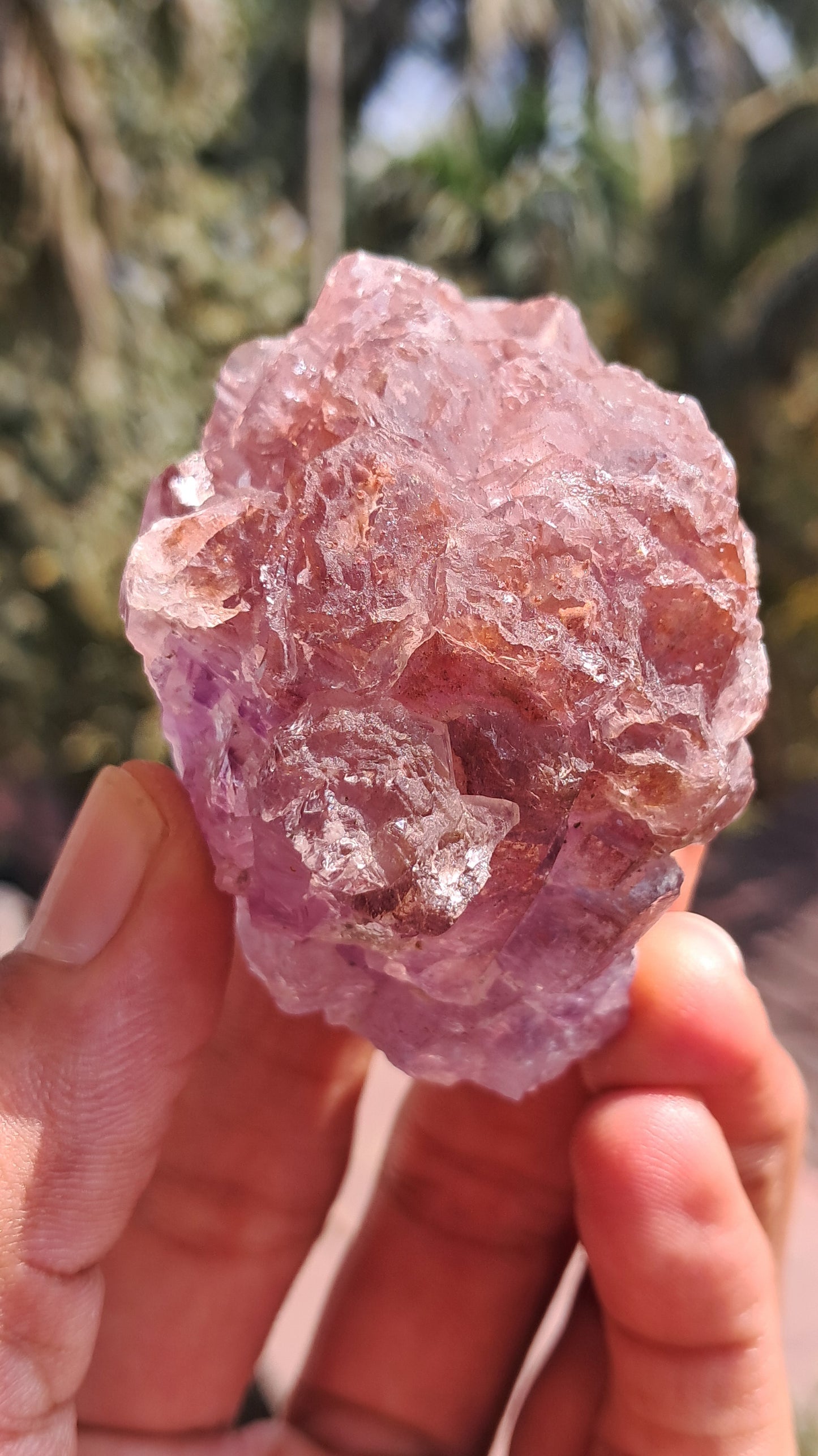 Karur Amethyst Scepter Cluster | Honeycomb Terminations | "Super Seven" inclusions | Mineral Specimen #KA186