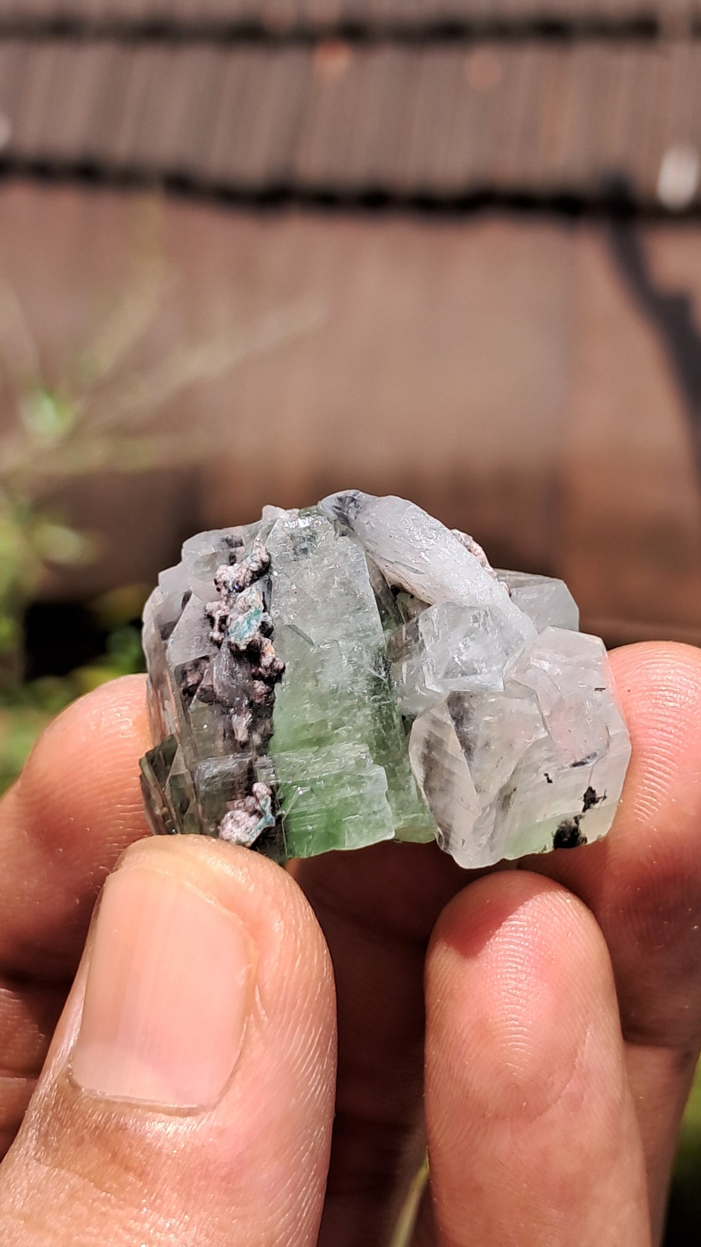 Green Apophyllite (Fluorapophyllite) (Ajanta) Natural Crystal | Mineral Specimen #GA28