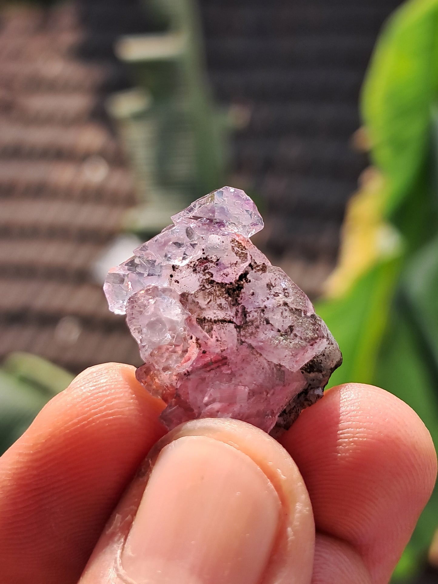 Amethyst Scepter cluster from Karur | Herkimer Like Formation| Mineral Specimen #KA177