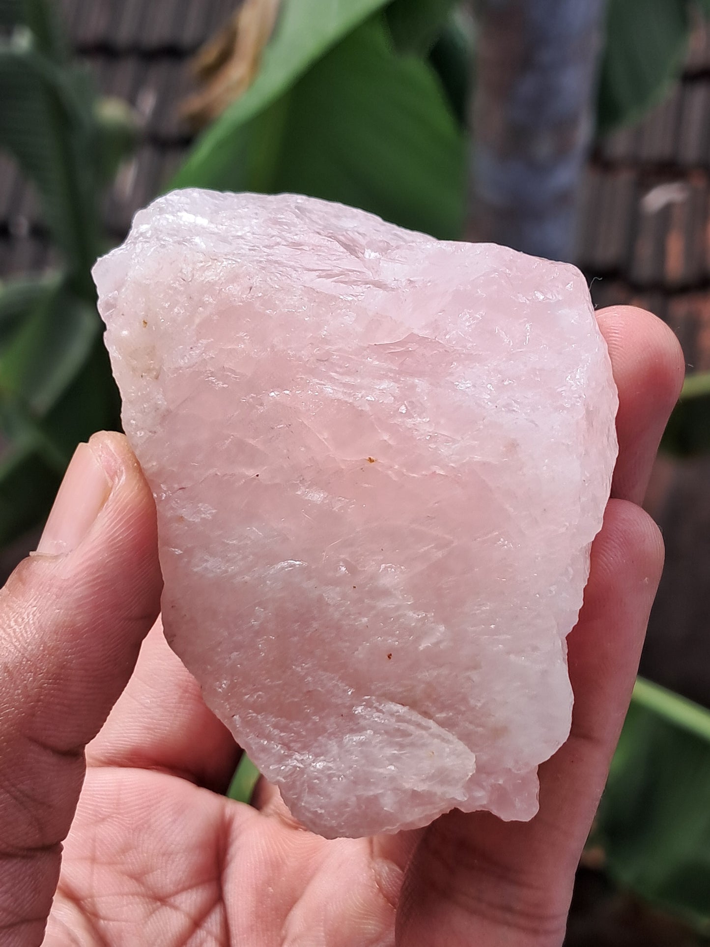 Rose Quartz (Rajasthan) Rough Stone | Natural Gemstone #RQ8