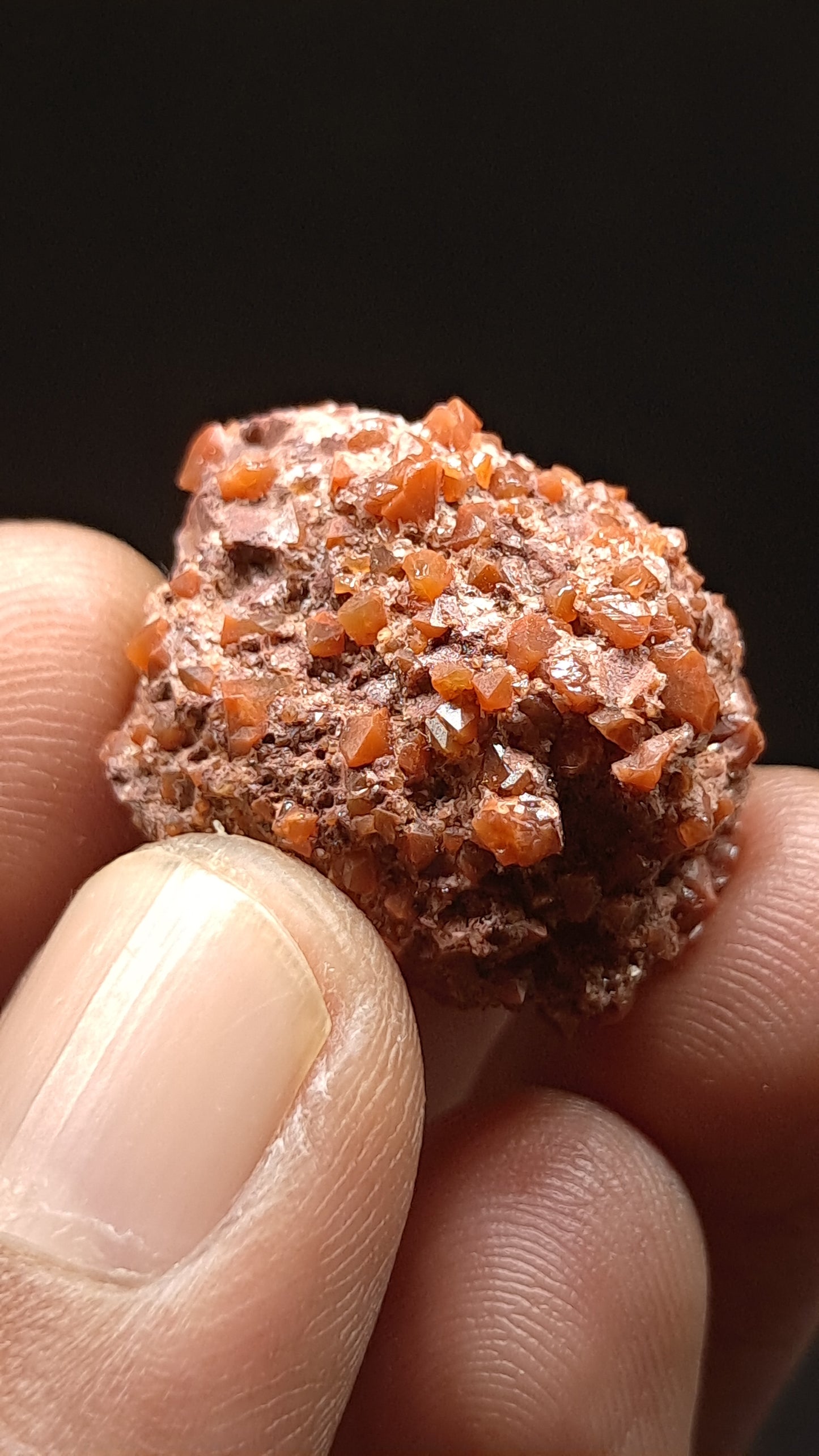 Jacinto de Compostela Quartz On Matrix | Natural Crystal | Mineral Specimen #JCQ9