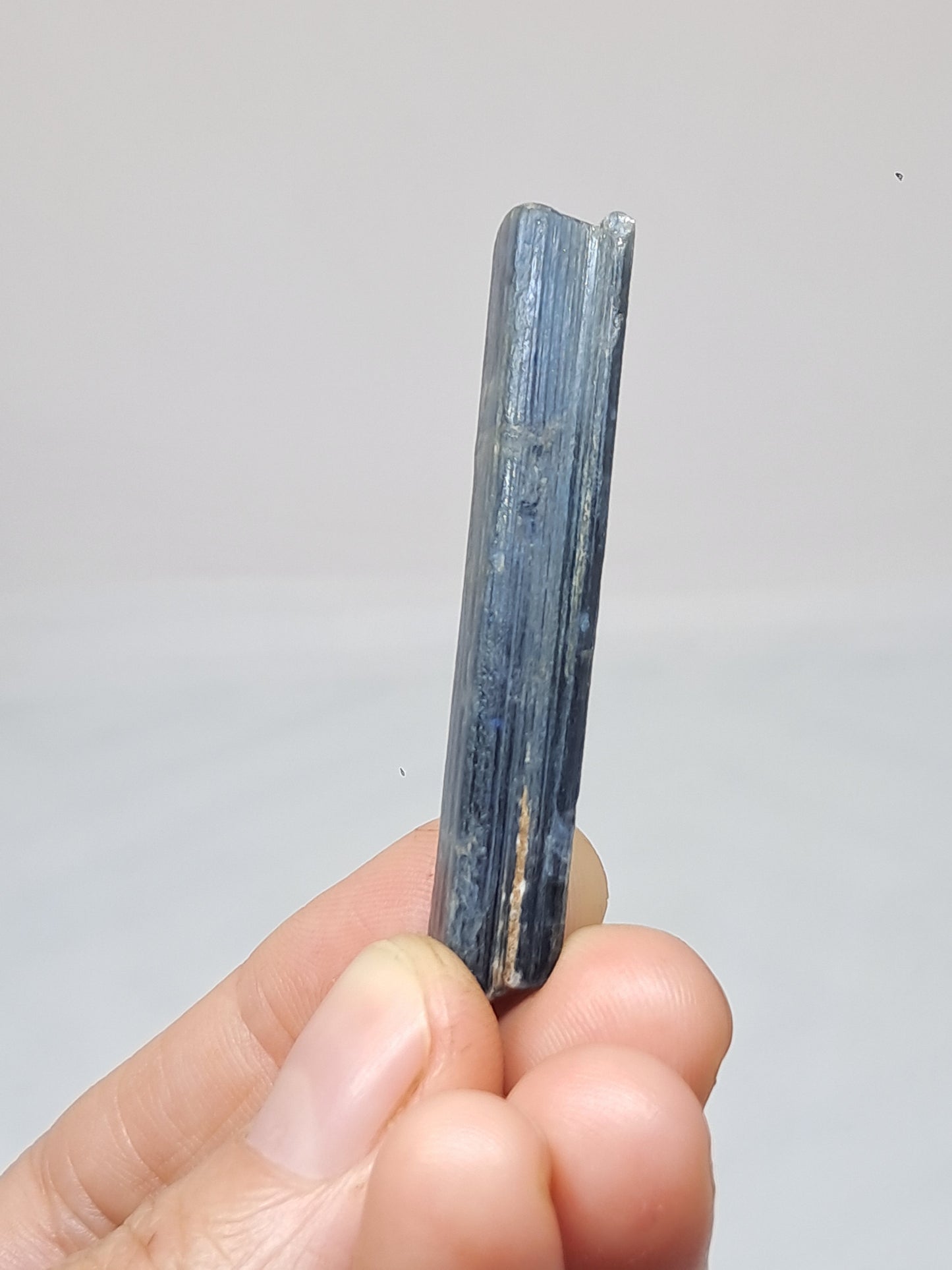 Blue Kyanite (Nepal) Natural Crystal #KY12