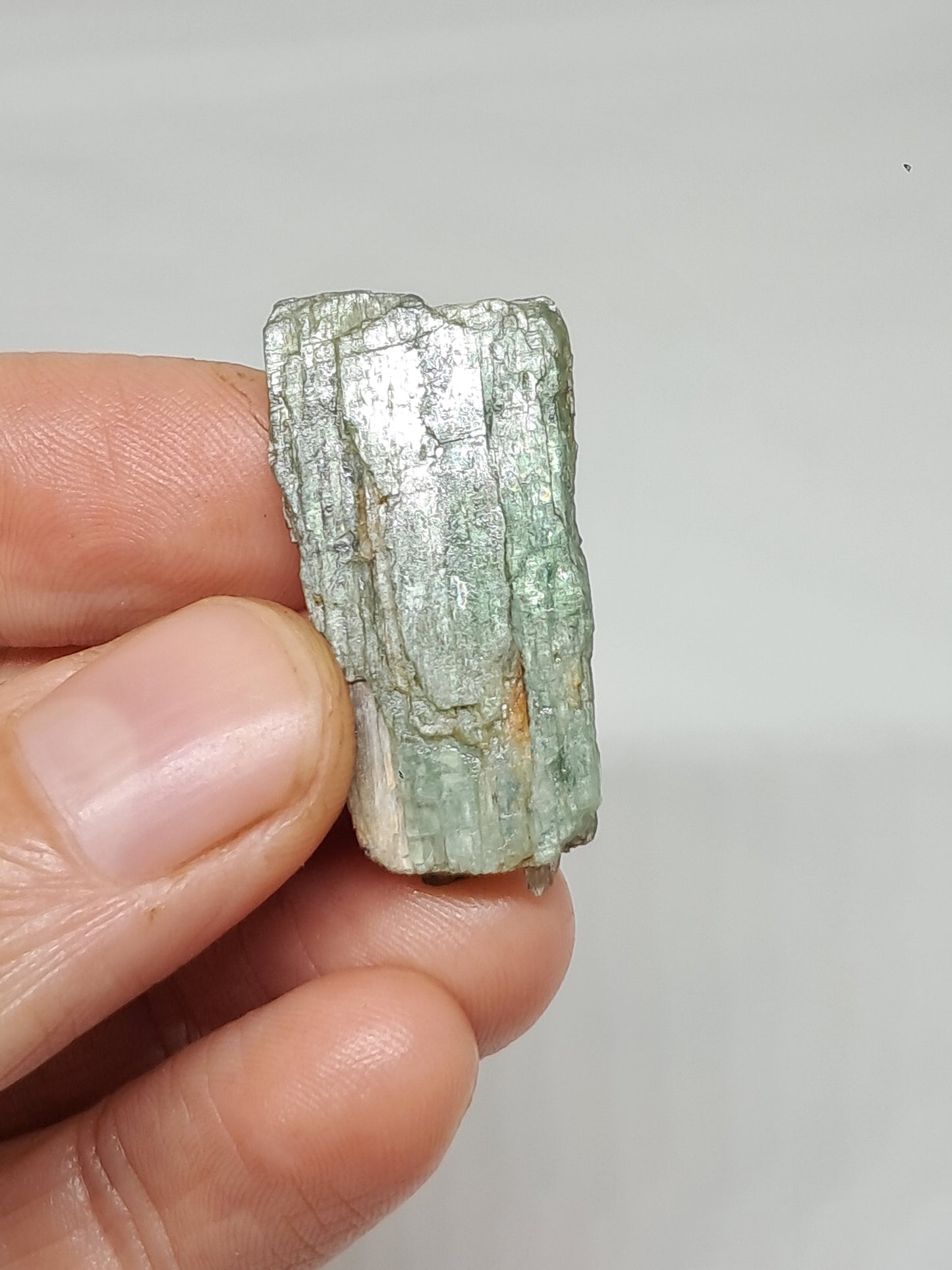 Green Kyanite (Tamil Nadu) Natural Crystal #KY8