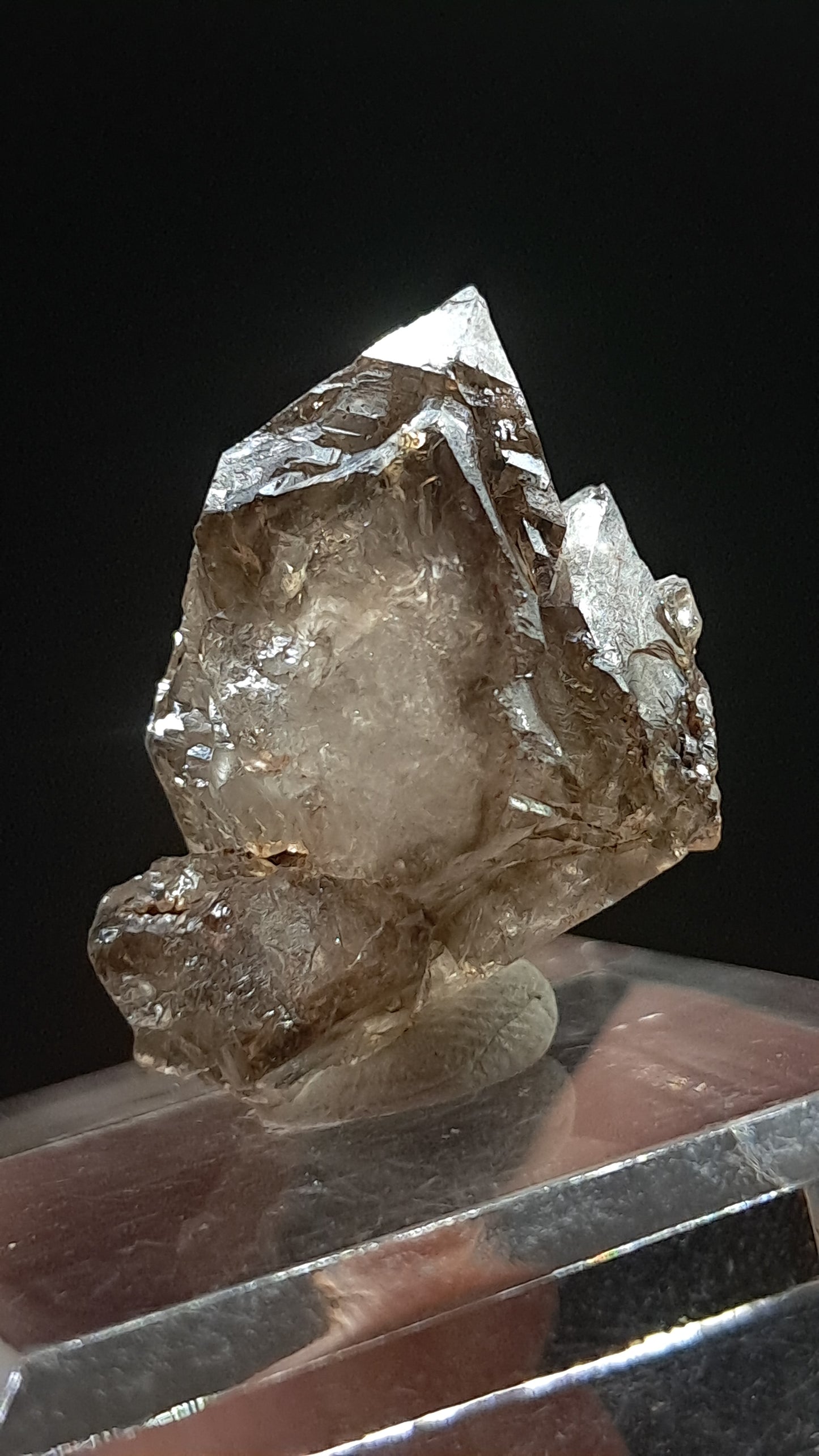 Elestial Smokey Quartz Scepter (Karur) Raw Natural Crystal | Mineral Specimen #EQ23