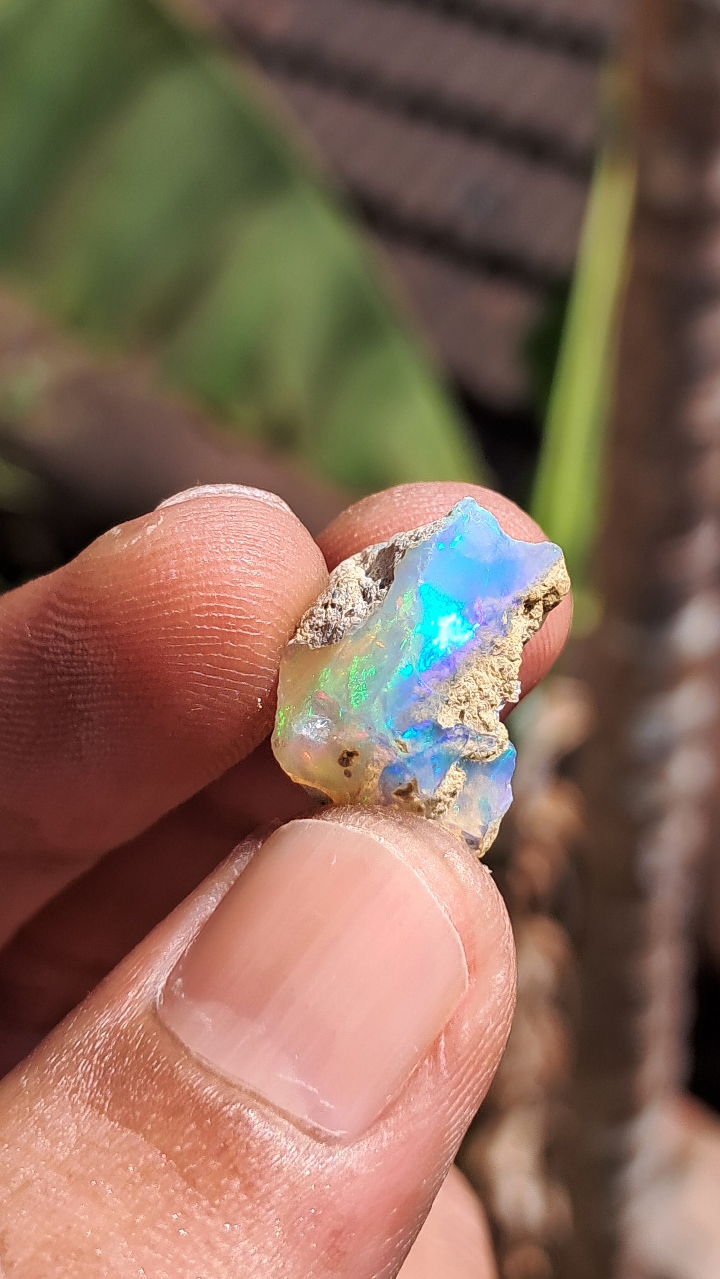 Natural Ethiopian Opal Rough | White Hydrophane Opal w/ Bright Play of Color #OP1
