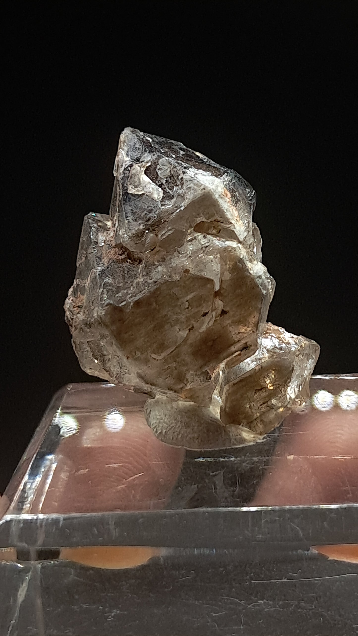 Elestial Smokey Quartz Scepter (Karur) Raw Natural Crystal | Mineral Specimen #EQ23