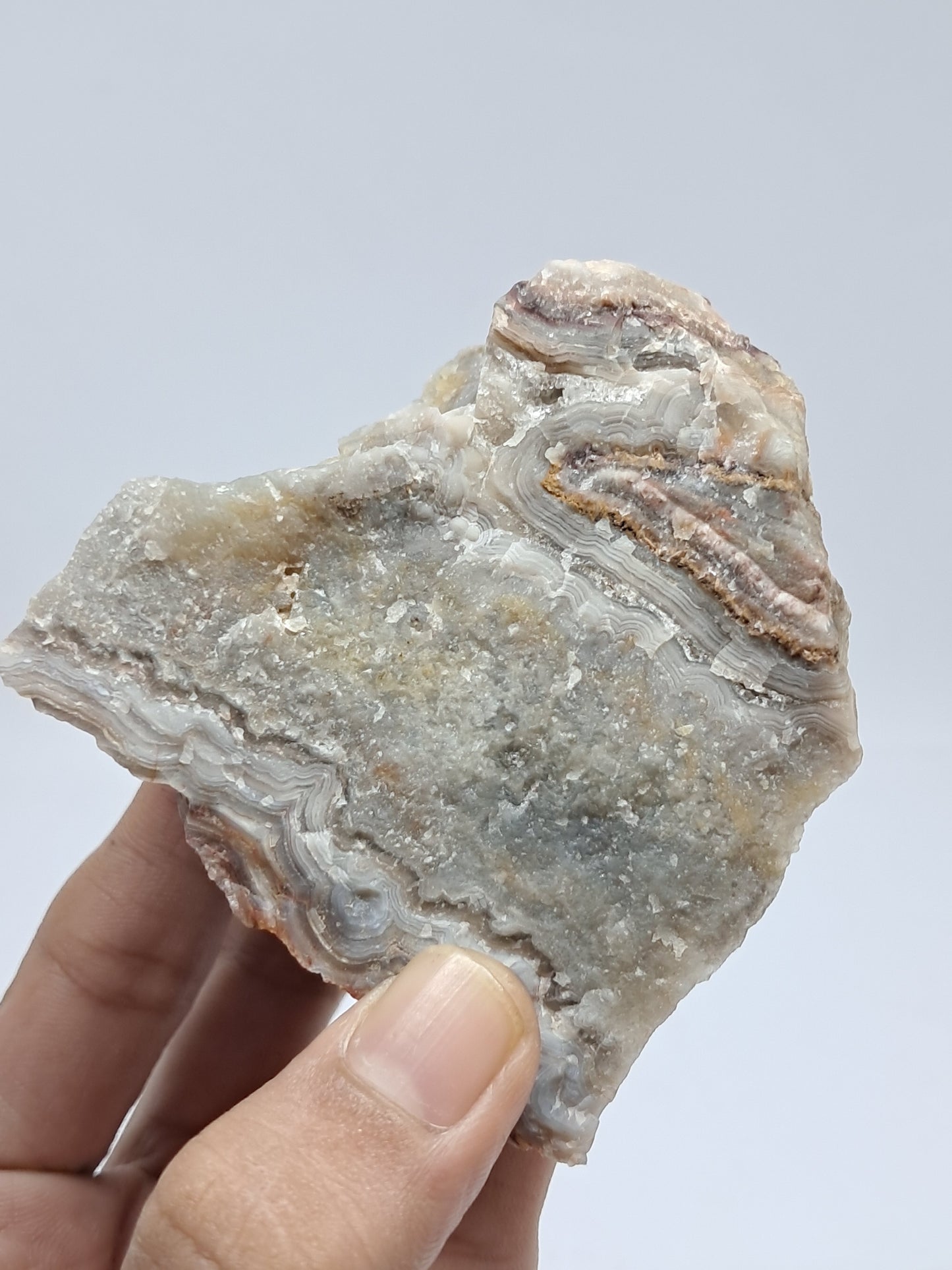 Crazy Lace Agate Rough | Natural Stone | Mineral Specimen #CLA2