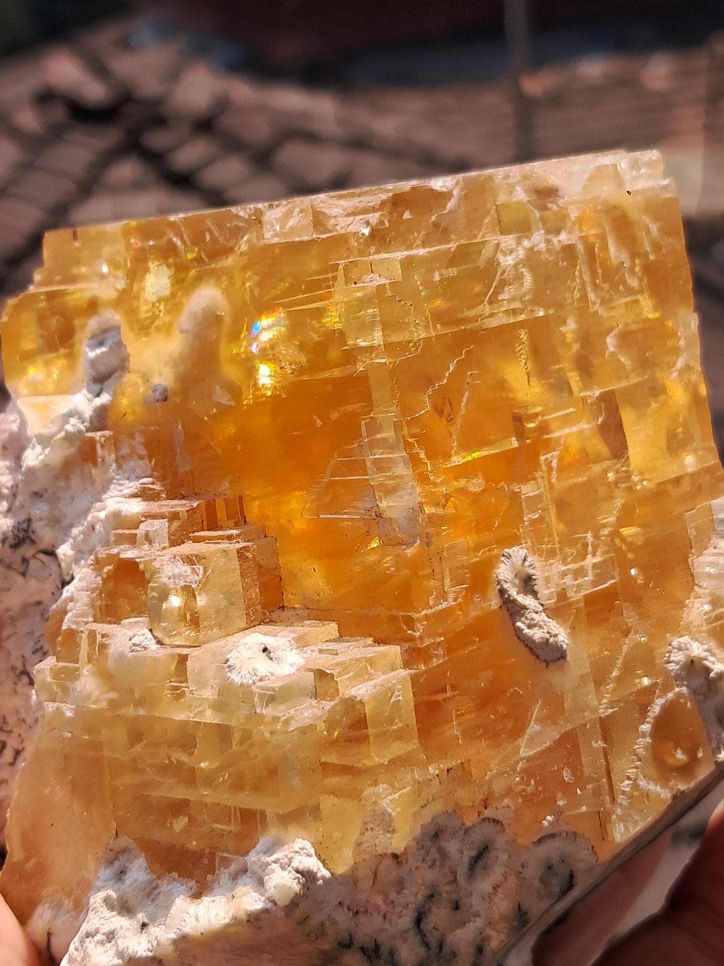 Calcita miel con okenita (India), cristal L en bruto | Piedra natural | Ejemplar mineral n.° CA28