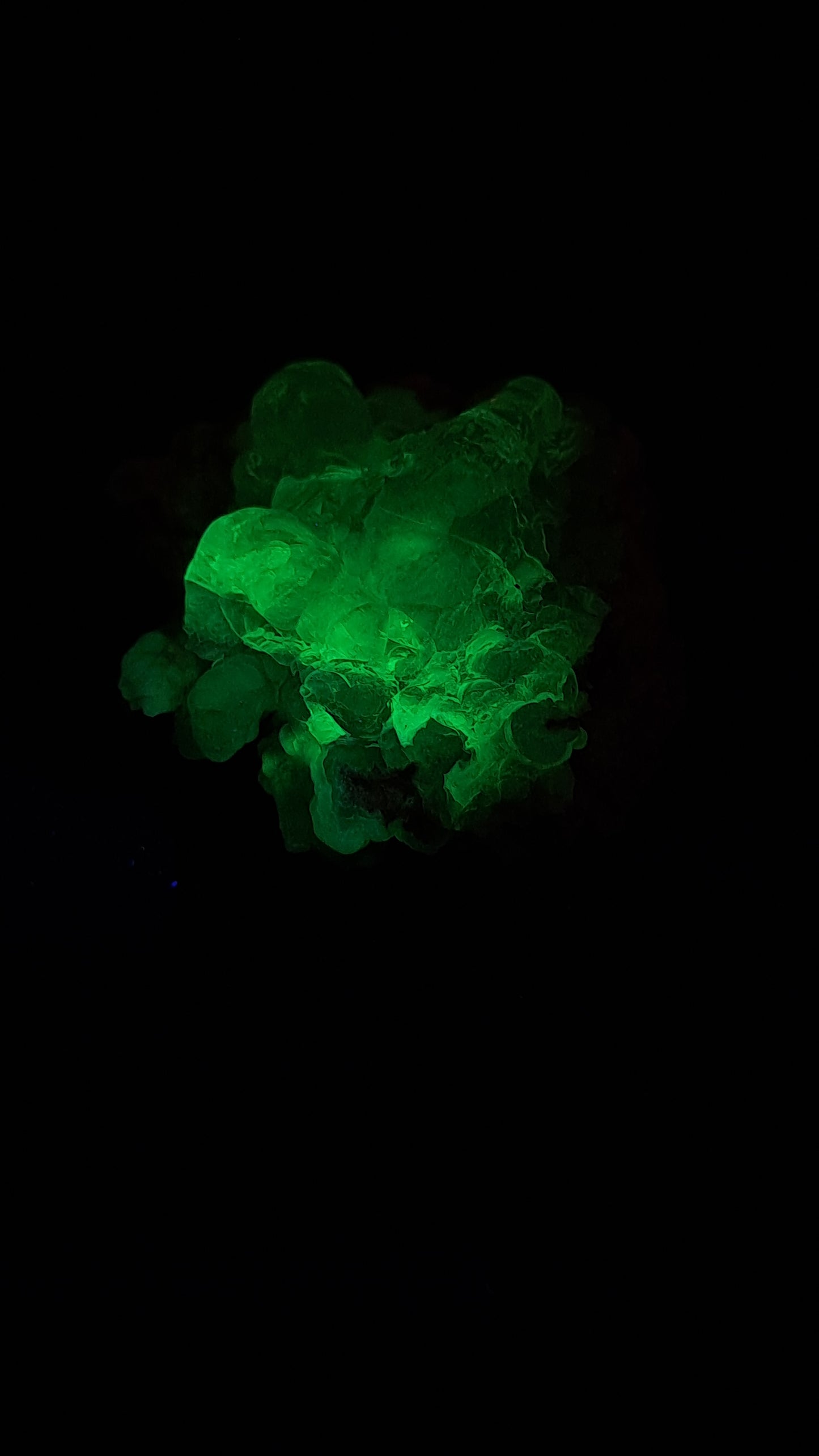 Hyalite Opal on Matrix (Mexico) Rough Crystal Stone | UV-Reactive Mineral Specimen #OH4