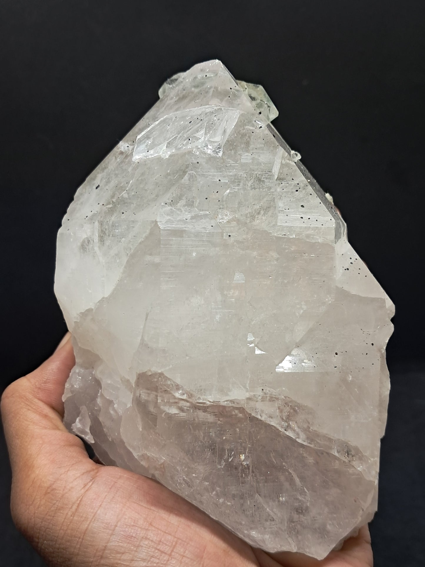 Himalayan Quartz Crystal Point with Magnetite Inclusions XL | High Grade | Natural Stone | Mineral Specimen #CH54