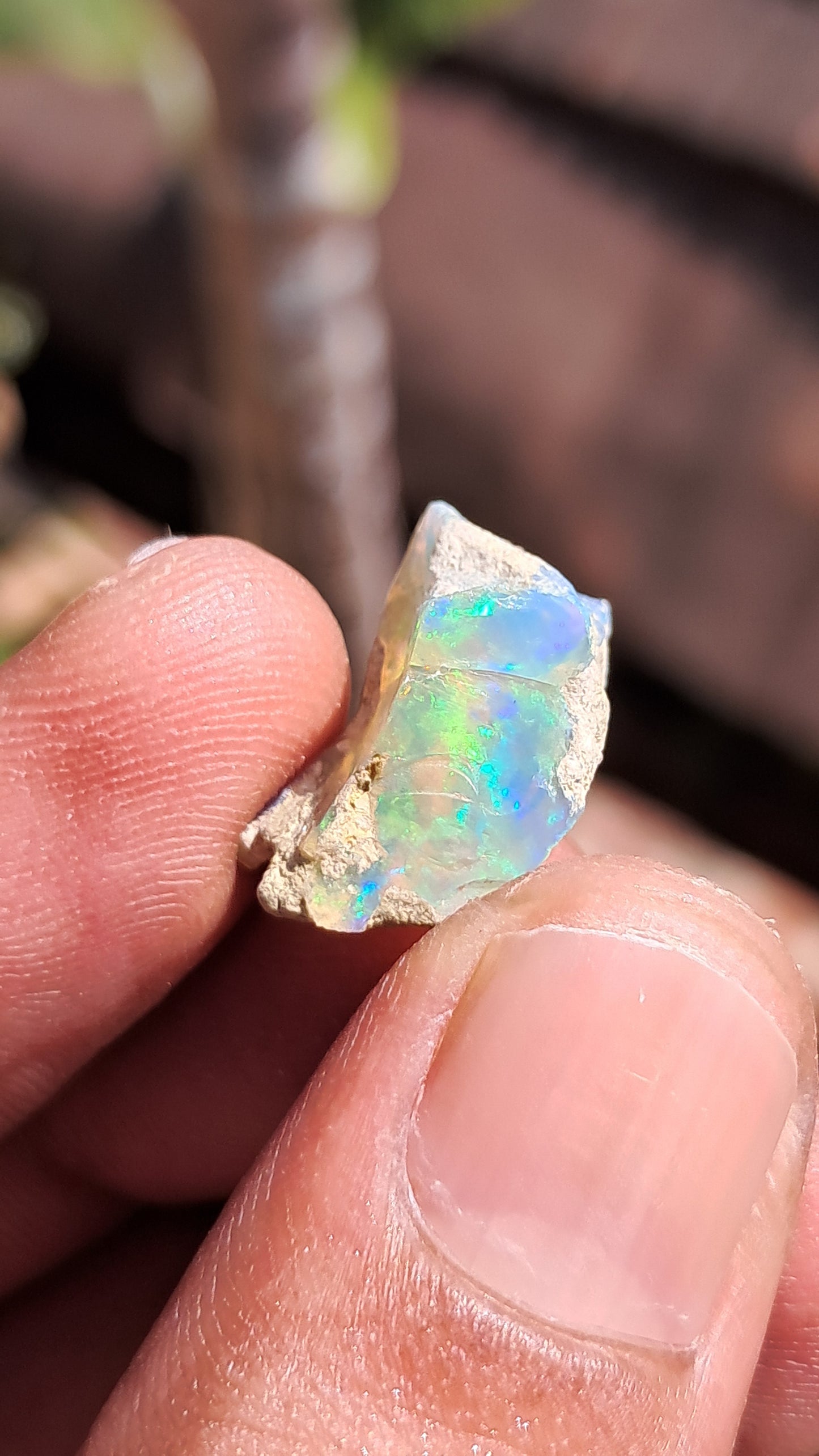 Natural Ethiopian Opal Rough | White Hydrophane Opal w/ Bright Play of Color #OP1