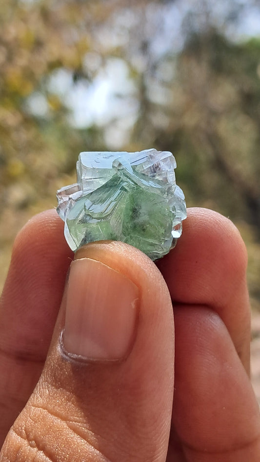 Green Apophyllite Flower (Fluorapophyllite) (Ajanta) Natural Crystal | Mineral Specimen #GA32