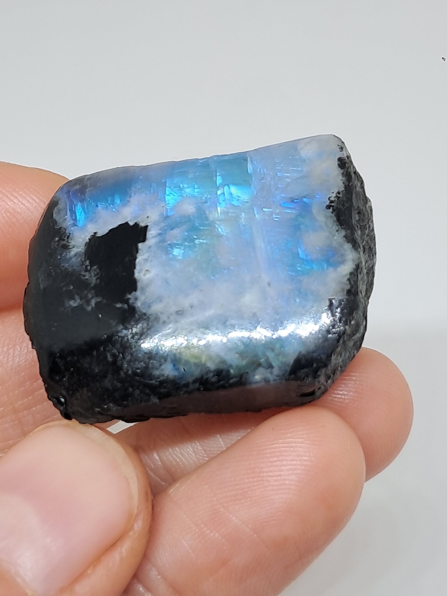 White Labradorite | Rainbow Moonstone *High Grade* (Tamil Nadu) Rough & Polished Stone | Natural Rock #MN20