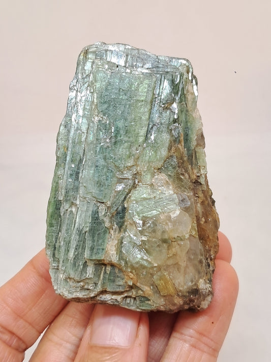 Green Kyanite (Tamil Nadu) Natural Stone #KY5