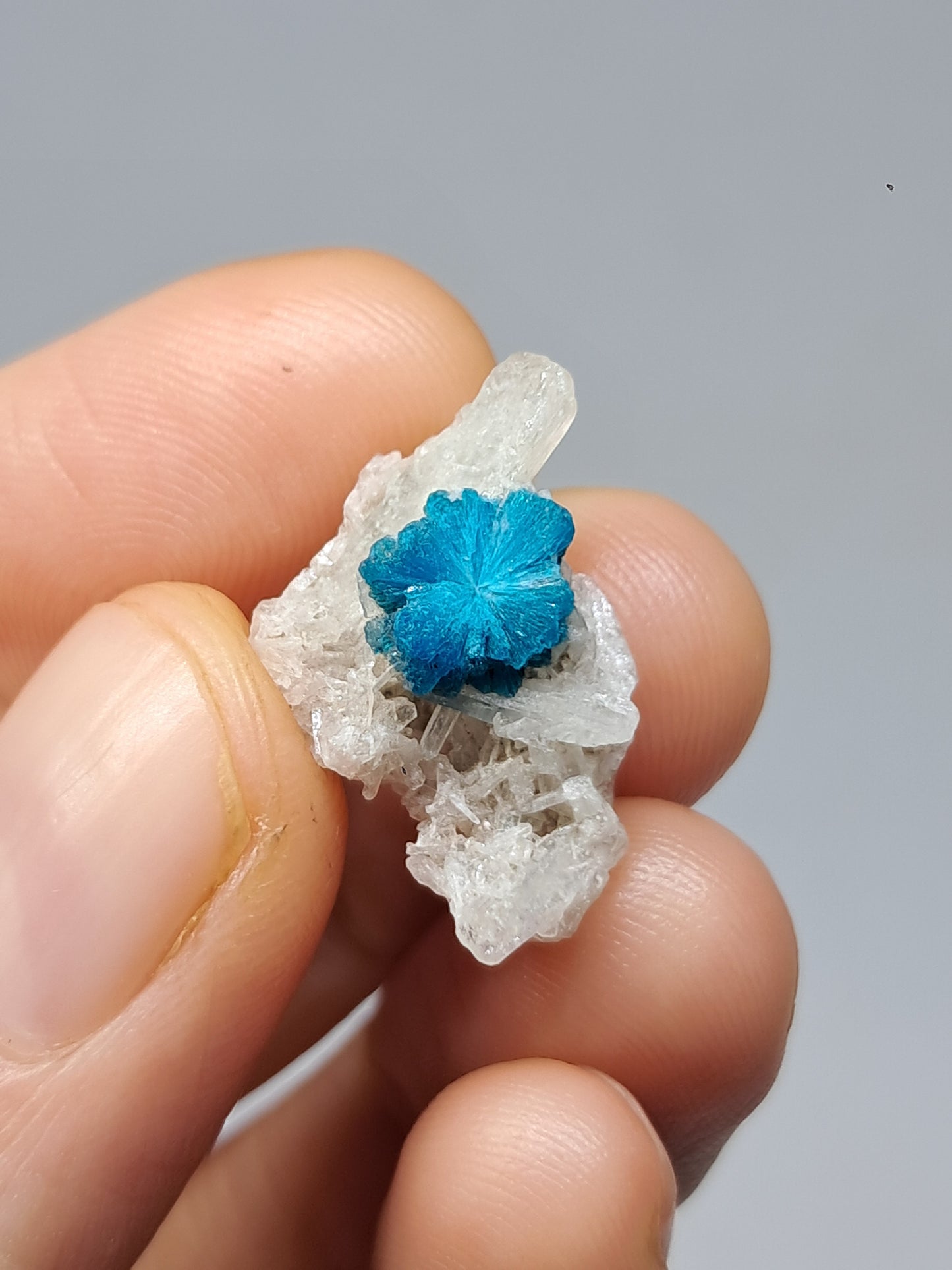 Set of Cavansite & Pentagonite on Matrix (Wagholi) Rough Stone | Natural Crystal | Rare Mineral Specimen #CV41
