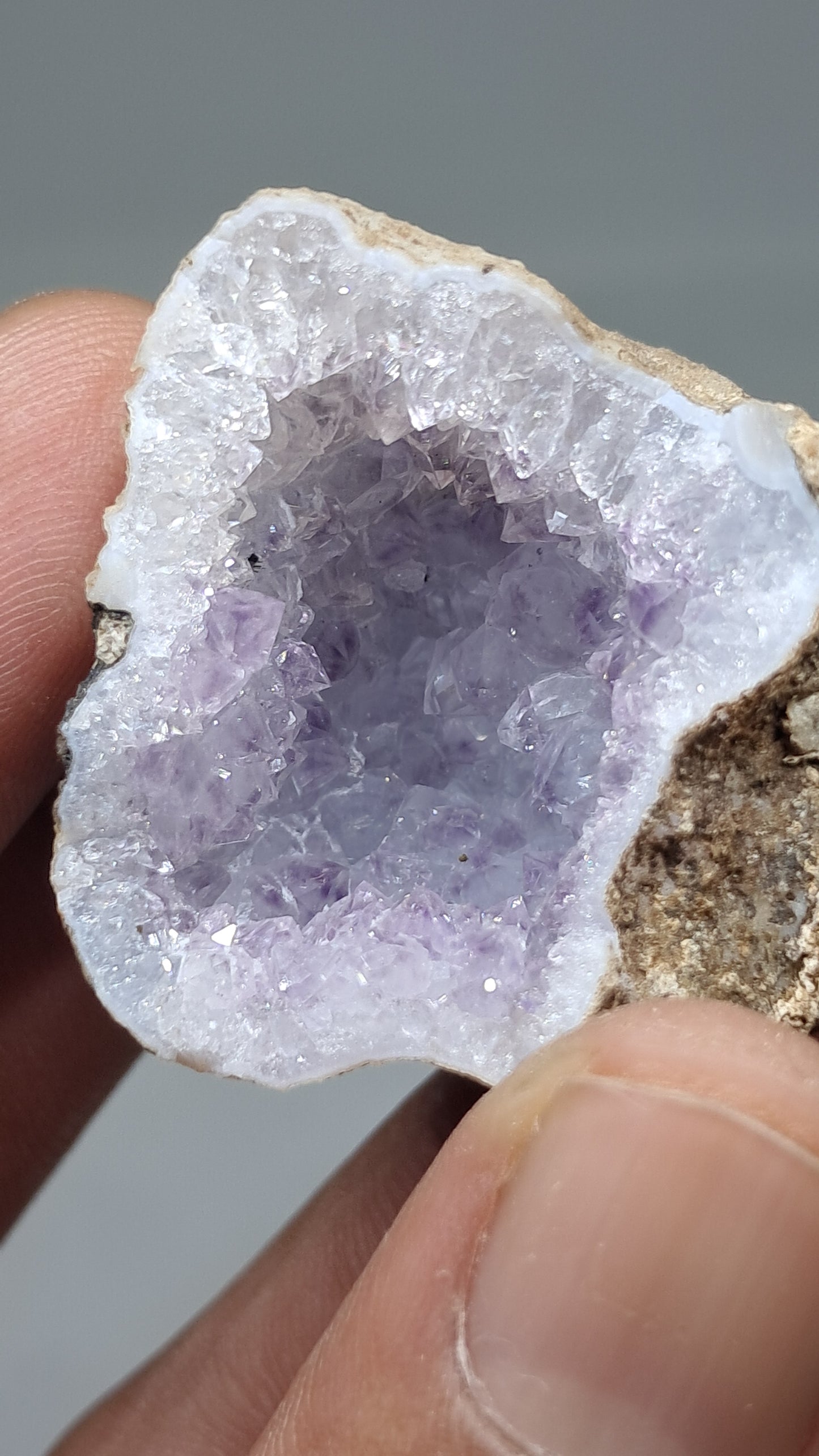 Geoda de amatista (Ajanta) | Cavidad profunda | Cristal natural | Piedra en bruto #GD29