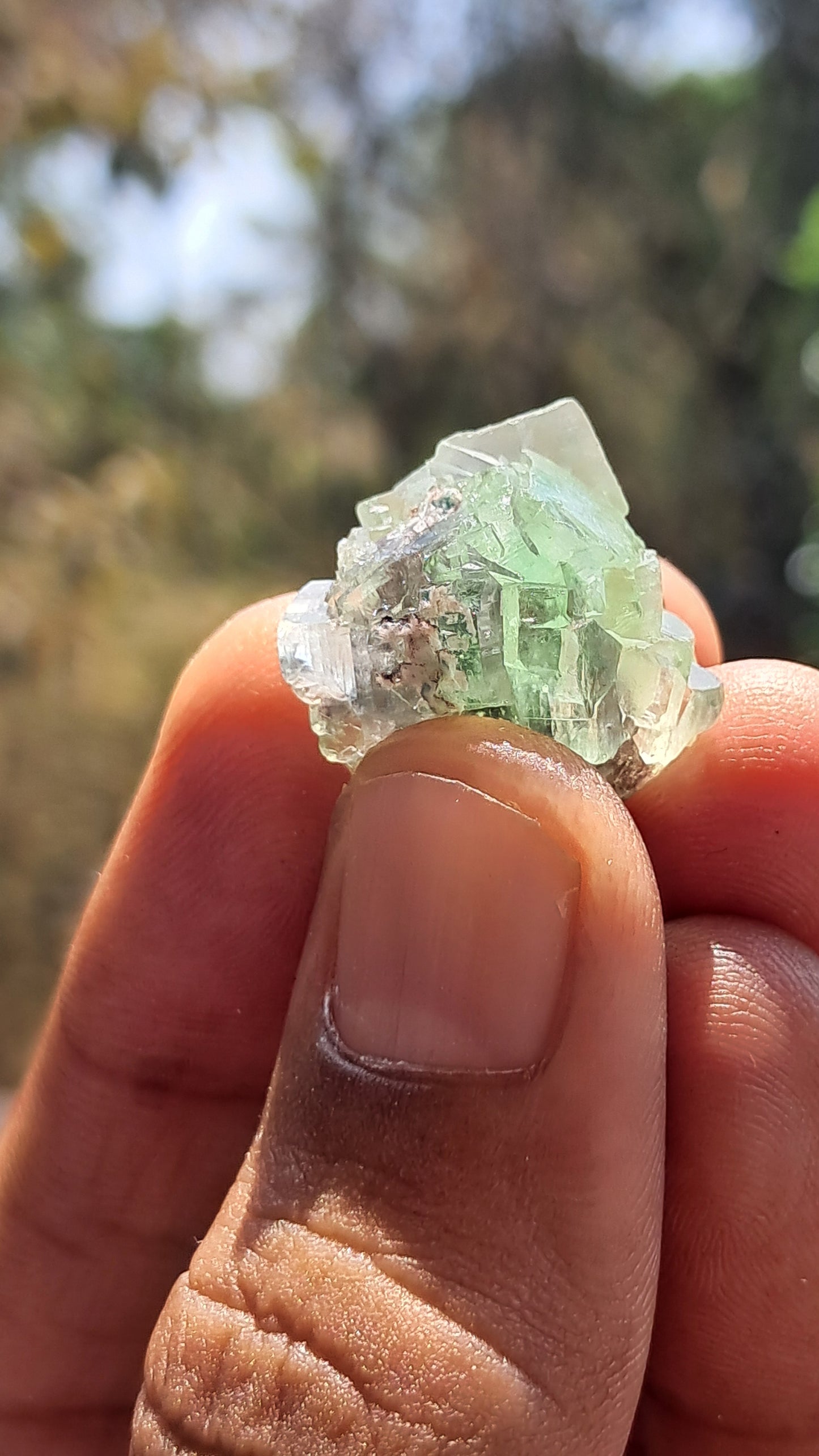 Green Apophyllite Flower (Fluorapophyllite) (Ajanta) Natural Crystal | Mineral Specimen #GA32