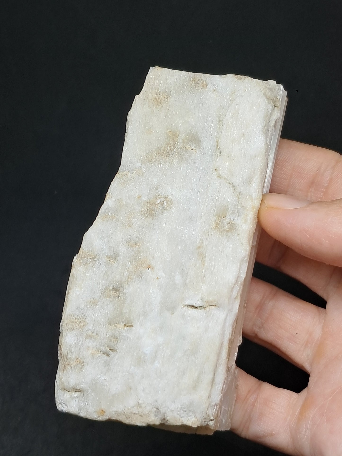 Satin Spar *Selenite* (India) Fibrous Gypsum | Mineral Specimen | Rough Crystal #SE1