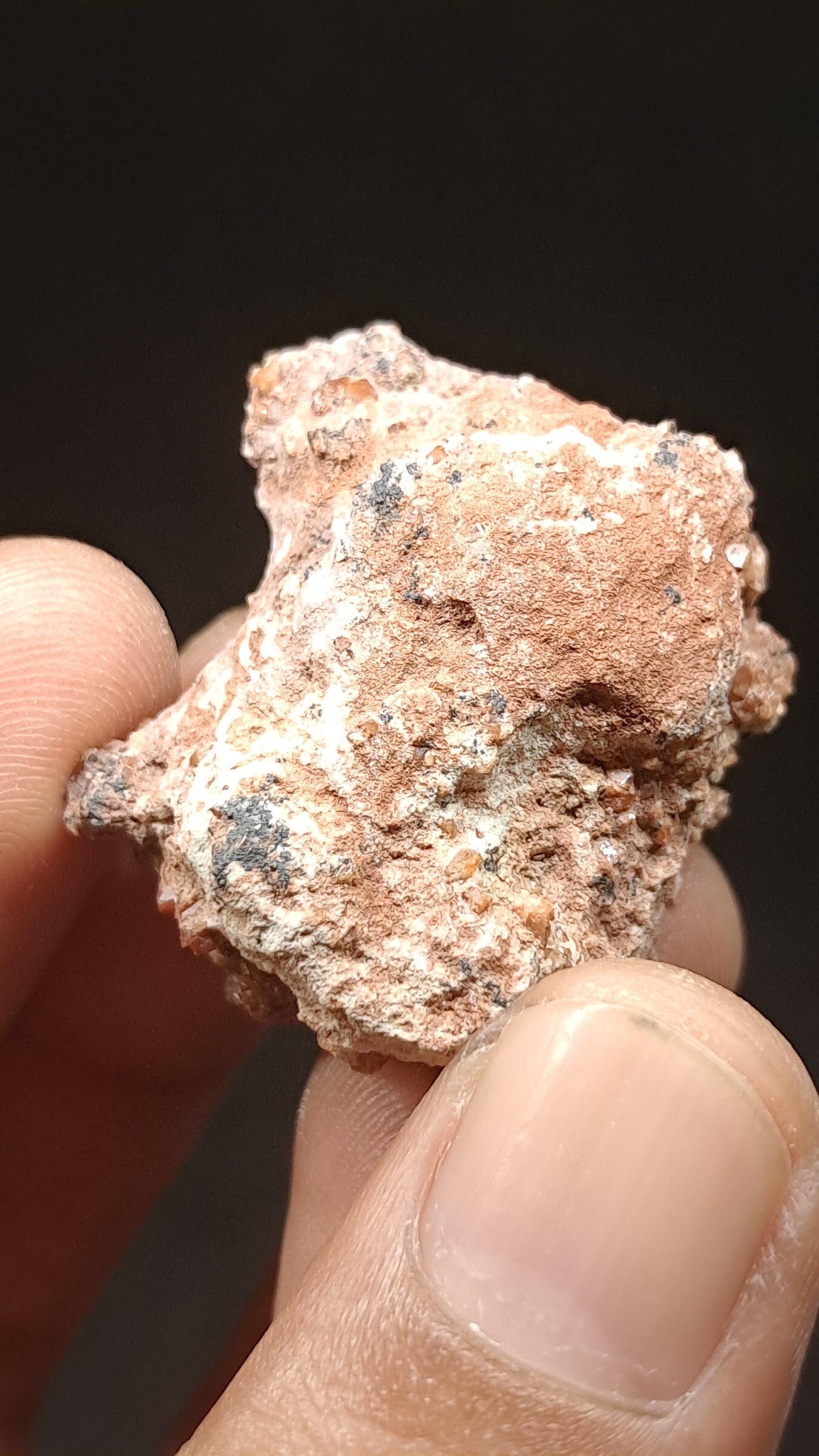 Jacinto de Compostela Quartz Cluster On Matrix | Natural Crystal | Mineral Specimen #JCQ8