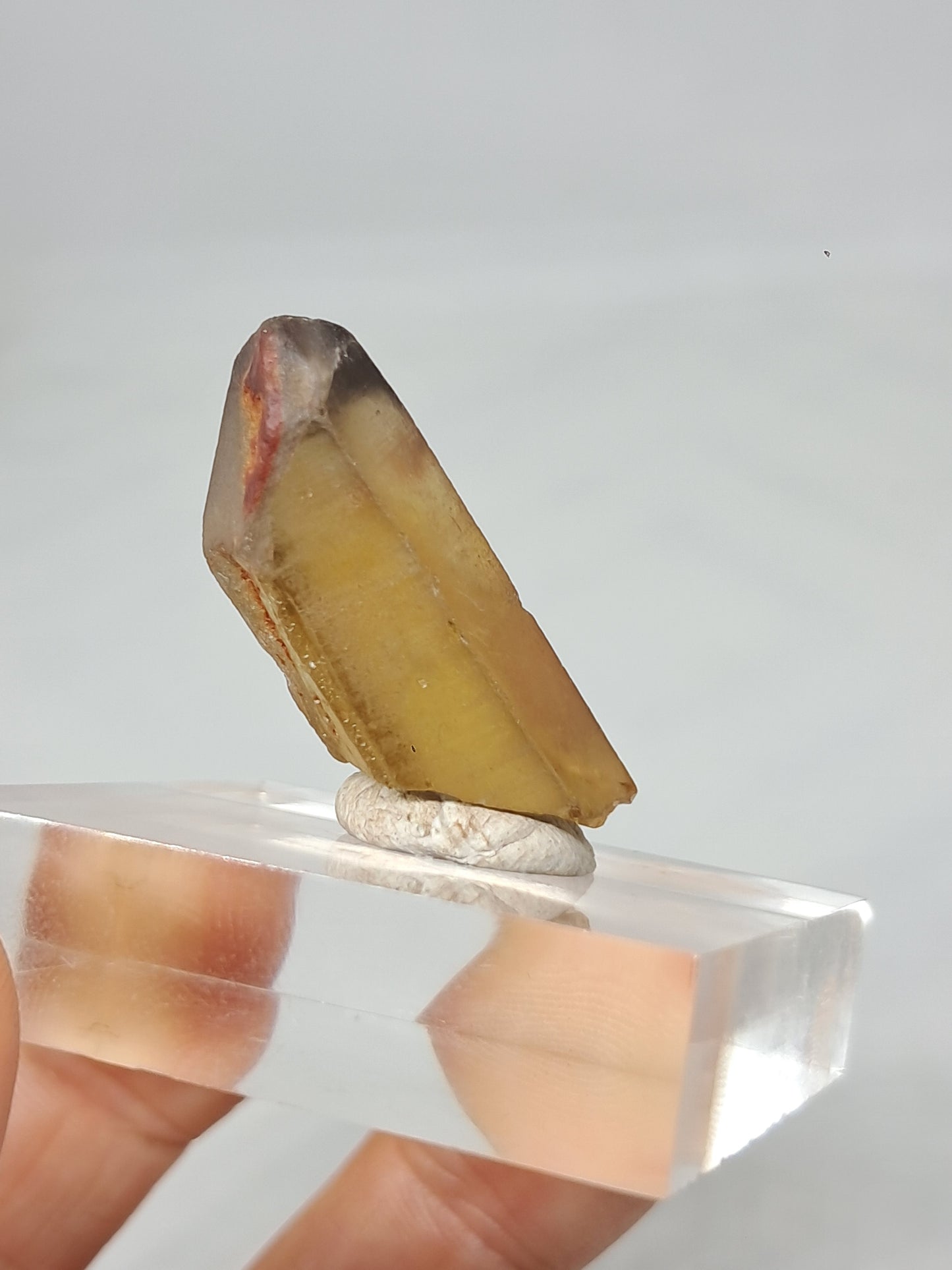 Natural Citrine Crystal Point (Democratic Republic of Congo) #CTN31