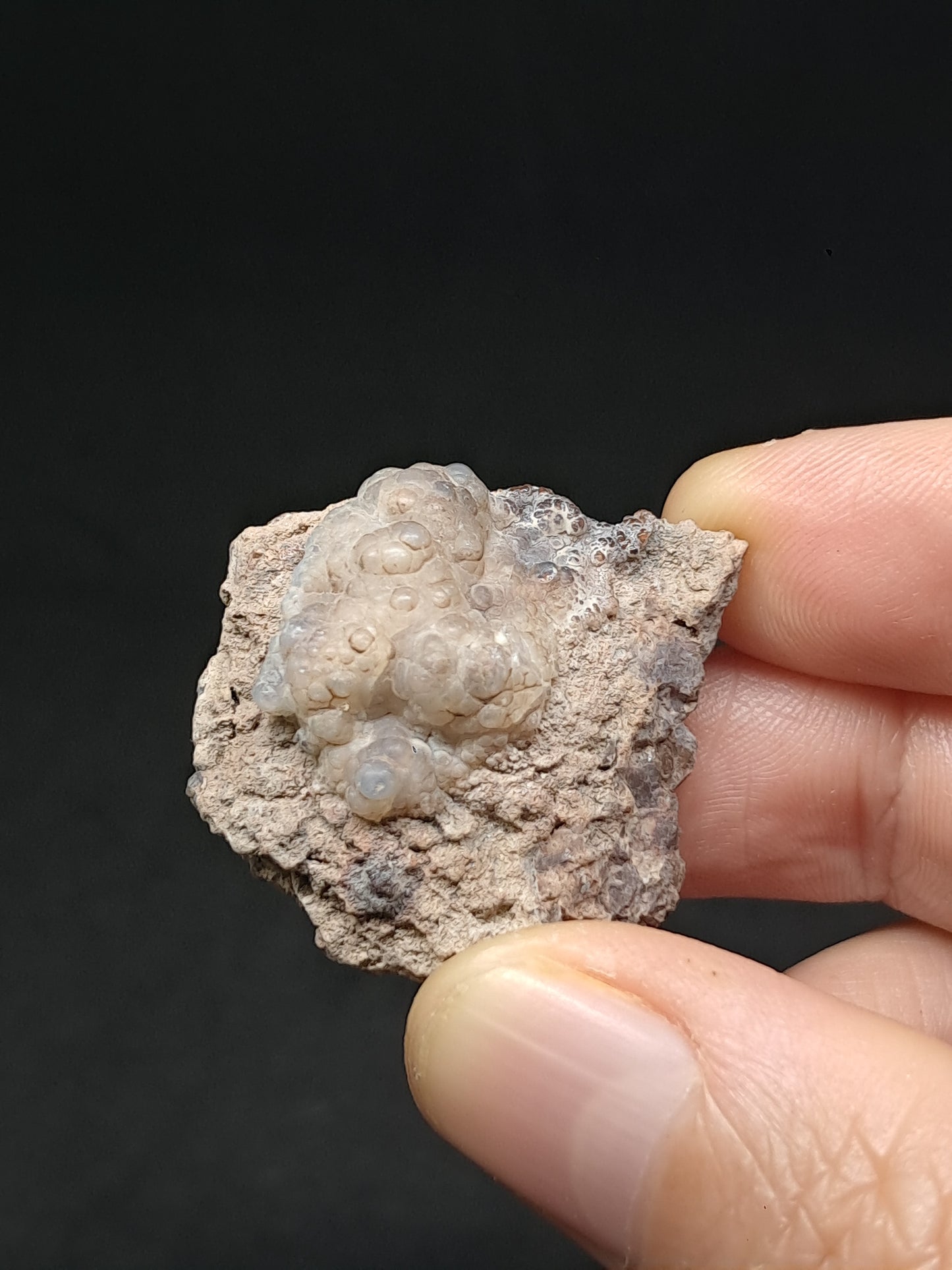 Hyalite Opal on Matrix (Mexico) Rough Crystal Stone | UV-Reactive Mineral Specimen #OH20