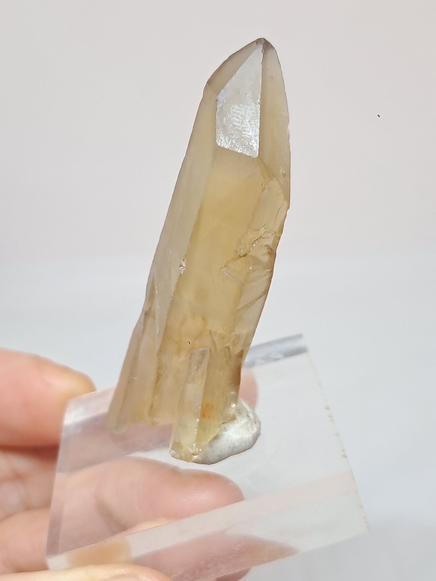 Natural Citrine Stone (DRC) Crystal Point  #CTN26