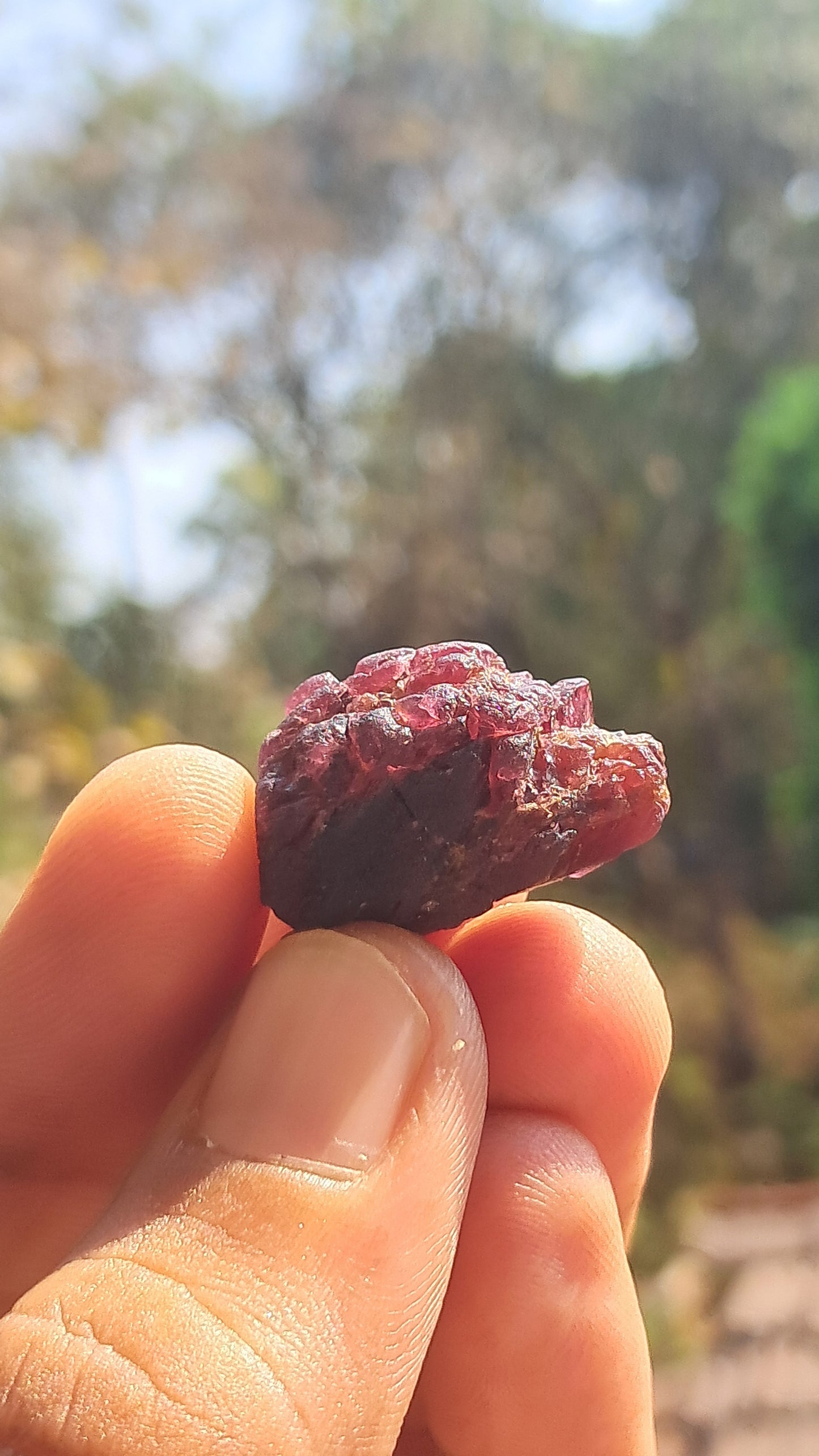 Red Garnet (Karur) | River worn | Natural Stone #RG3