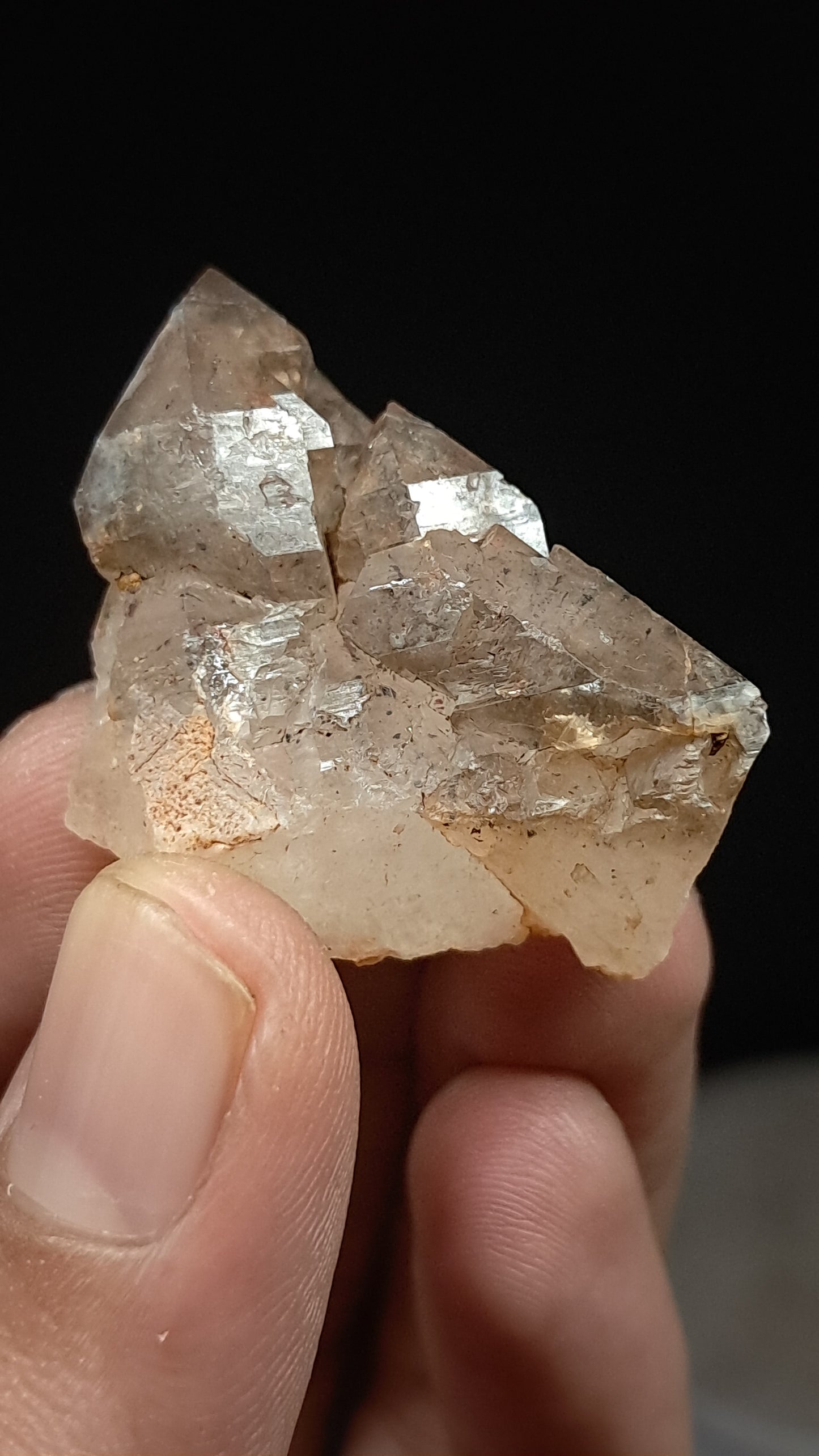 Elestial Smokey Quartz (Karur) Raw Natural Crystal Stone | Mineral Specimen #EQ21