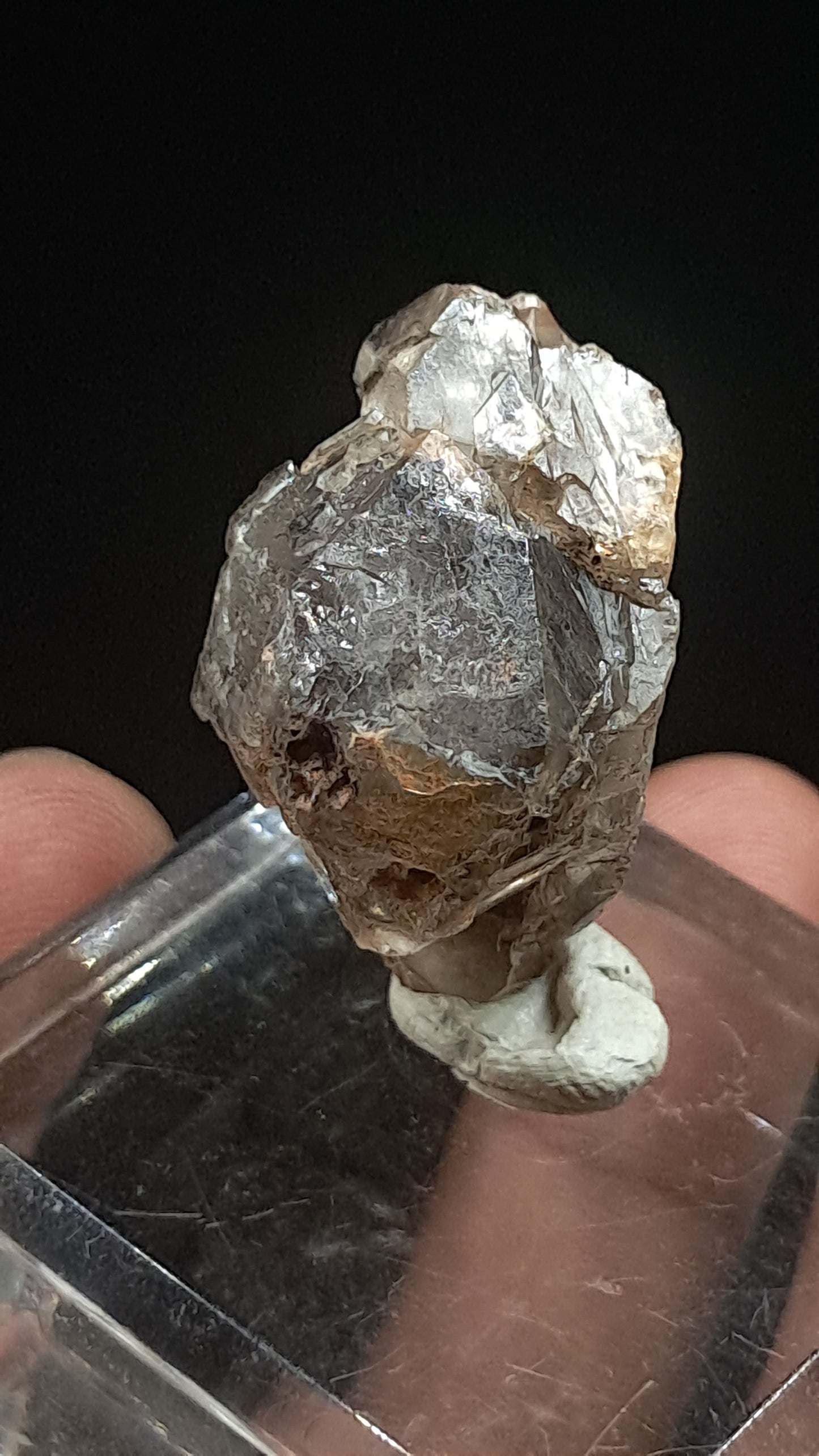 Elestial Smokey Quartz Scepter (Karur) Raw Natural Crystal | Mineral Specimen #EQ23