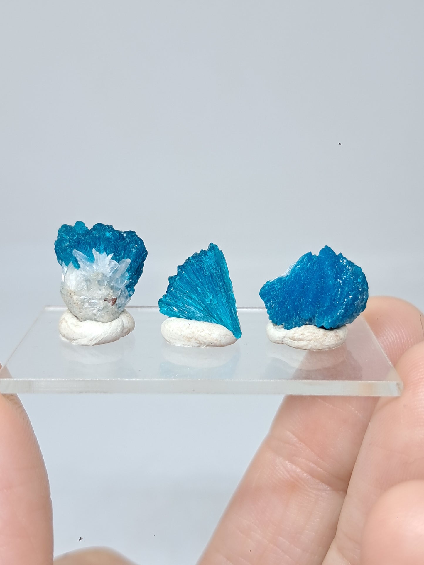 Conjunto de 3 cavansitas (wagholi) en bruto | Cristal natural | Ejemplar mineral raro n.° CV43