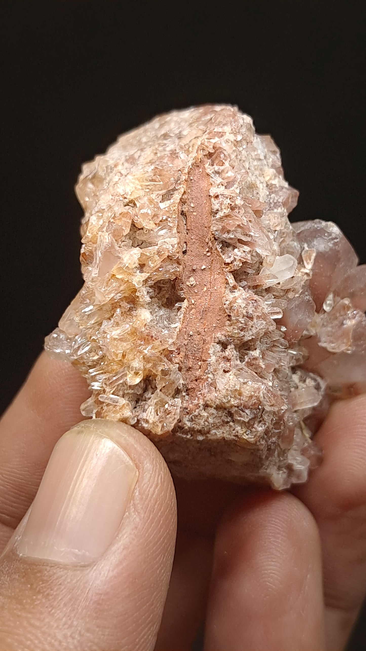 Jacinto de Compostela Quartz Cluster On Matrix | Natural Crystal | Mineral Specimen #JCQ10
