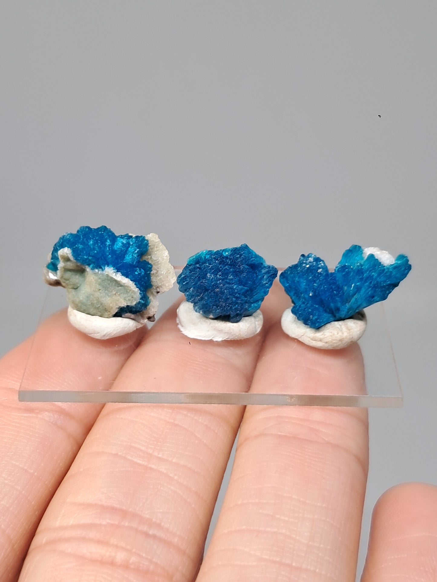 Conjunto de 3 cavansitas (wagholi) en bruto | Cristal natural | Ejemplar mineral raro n.° CV39