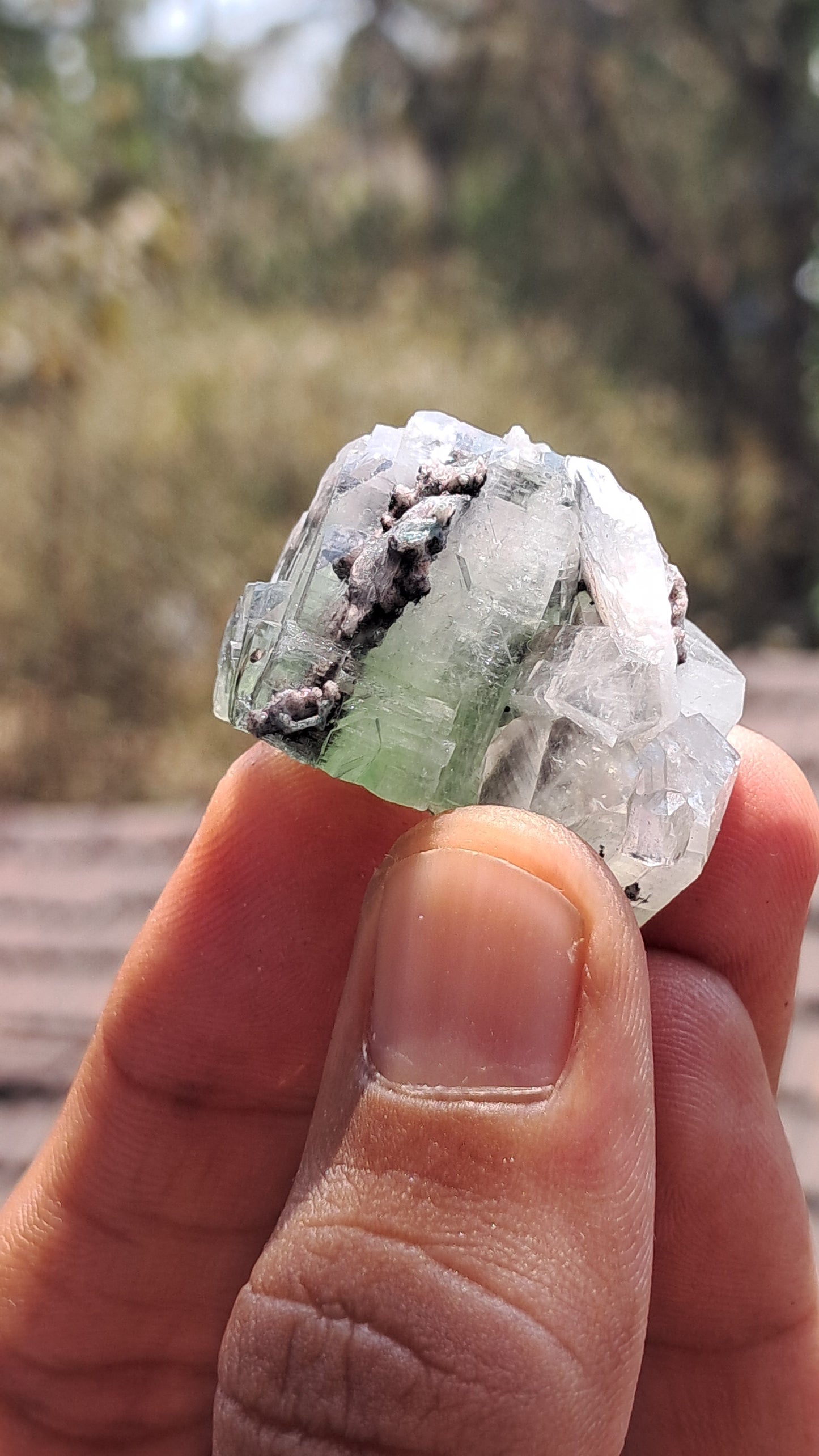 Green Apophyllite (Fluorapophyllite) (Ajanta) Natural Crystal | Mineral Specimen #GA28