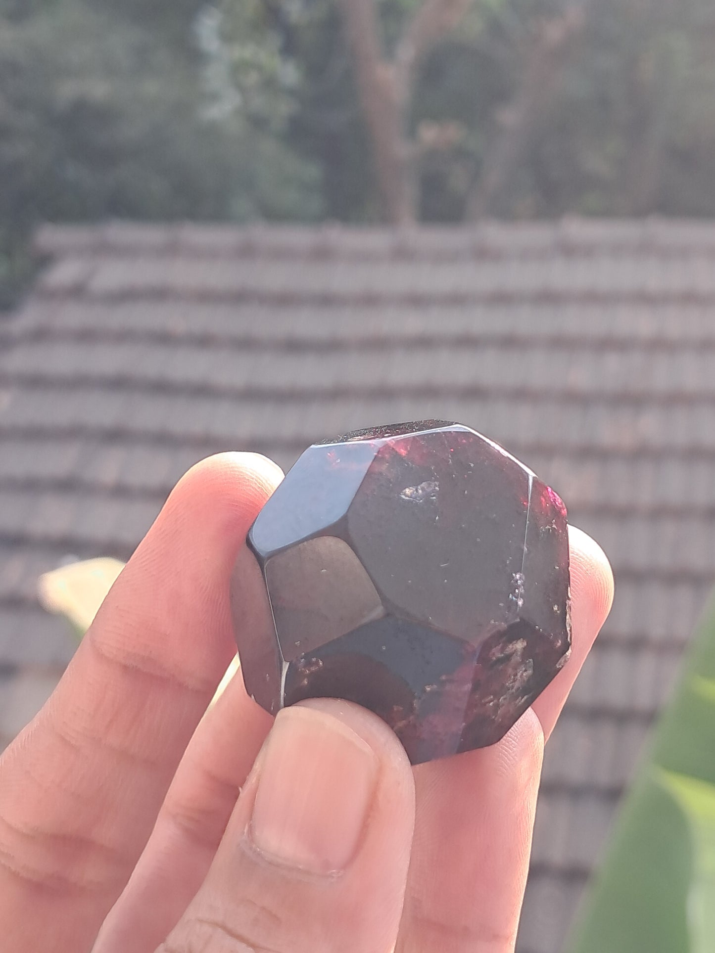 Red Garnet Natural Shape | Polished Stone #GR2
