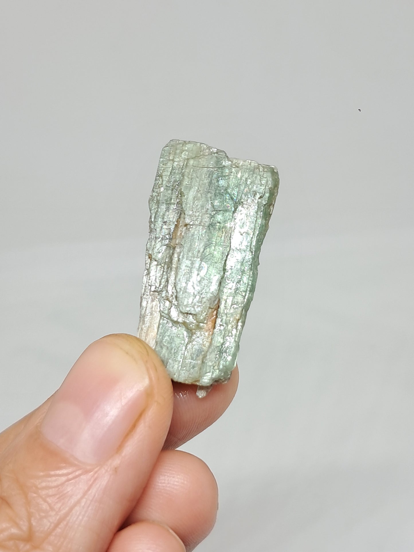 Green Kyanite (Tamil Nadu) Natural Crystal #KY8