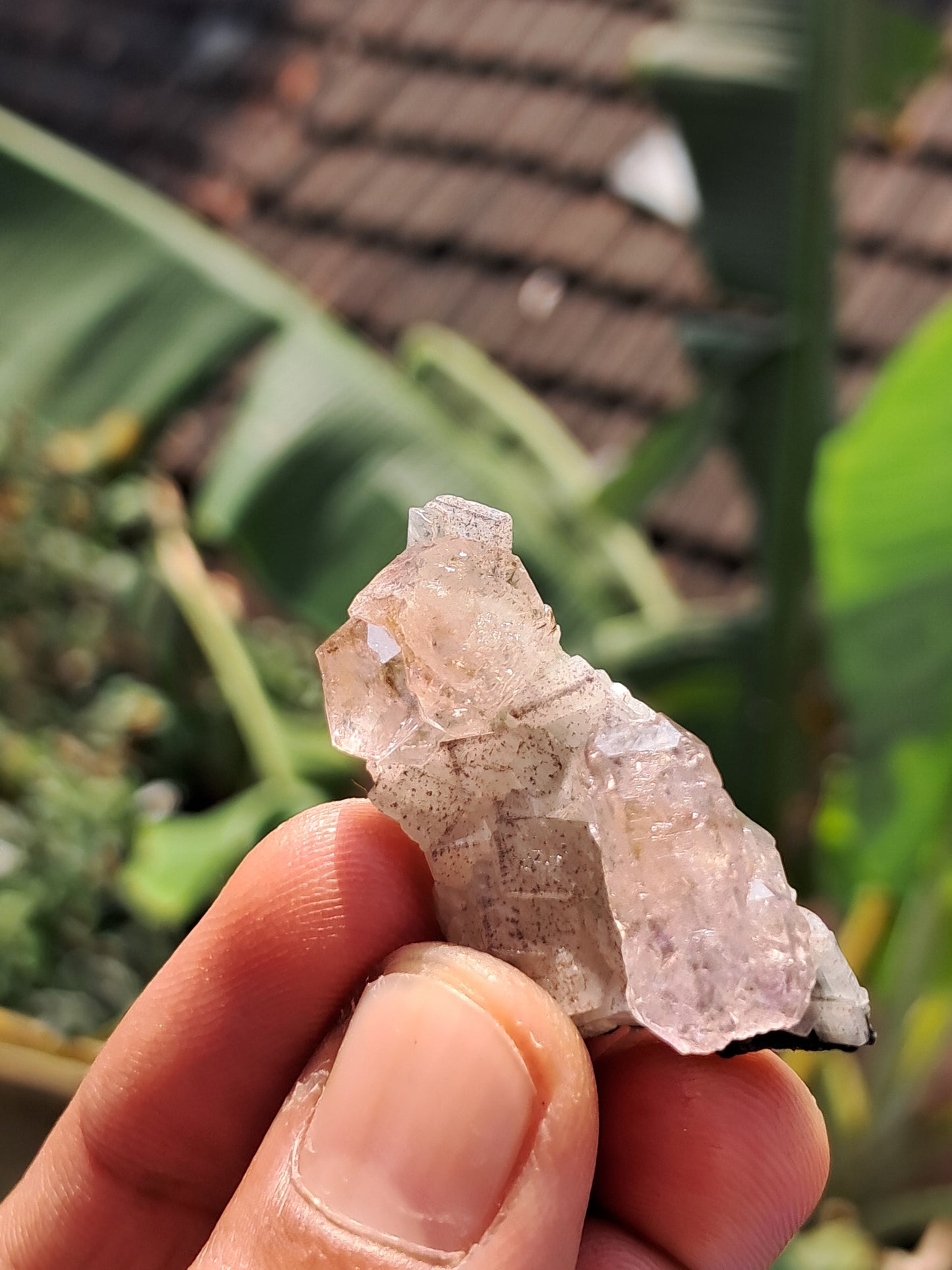 Amethyst Scepter on Matrix from Karur | Super Seven Inclusions | Natural Crystal | Mineral Specimen #KA175