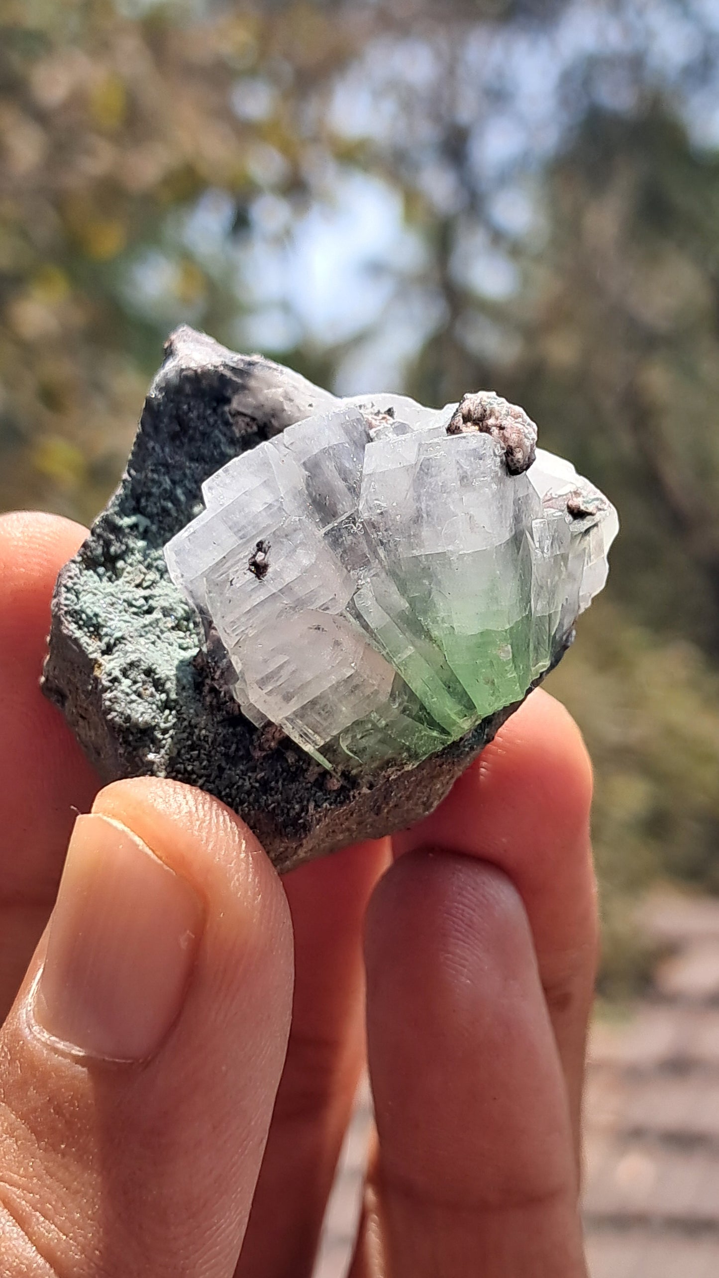 Apofilita Verde (Fluorapofilita) en Matriz (Ajanta) Cristal Natural | Muestra Mineral #GA21