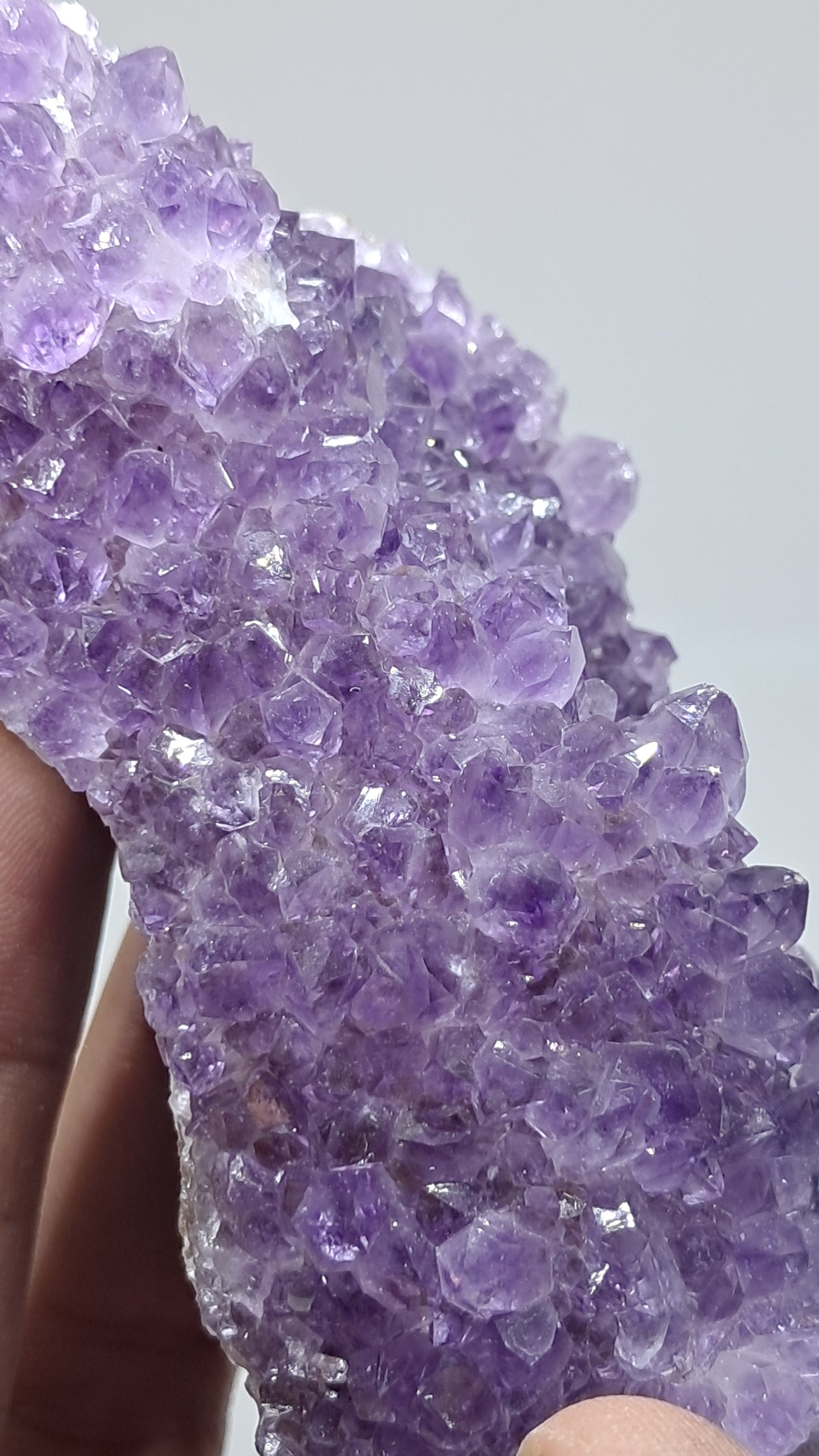 Deep Purple Amethyst (Brazil) | Natural Cluster | Mineral Specimen #AMB13
