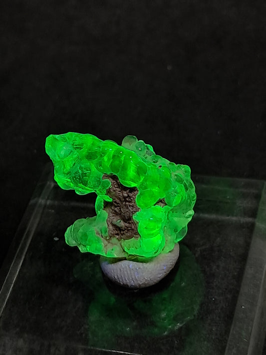 Ópalo hialita (México) Piedra de cristal en bruto | Ejemplar mineral n.° OH8