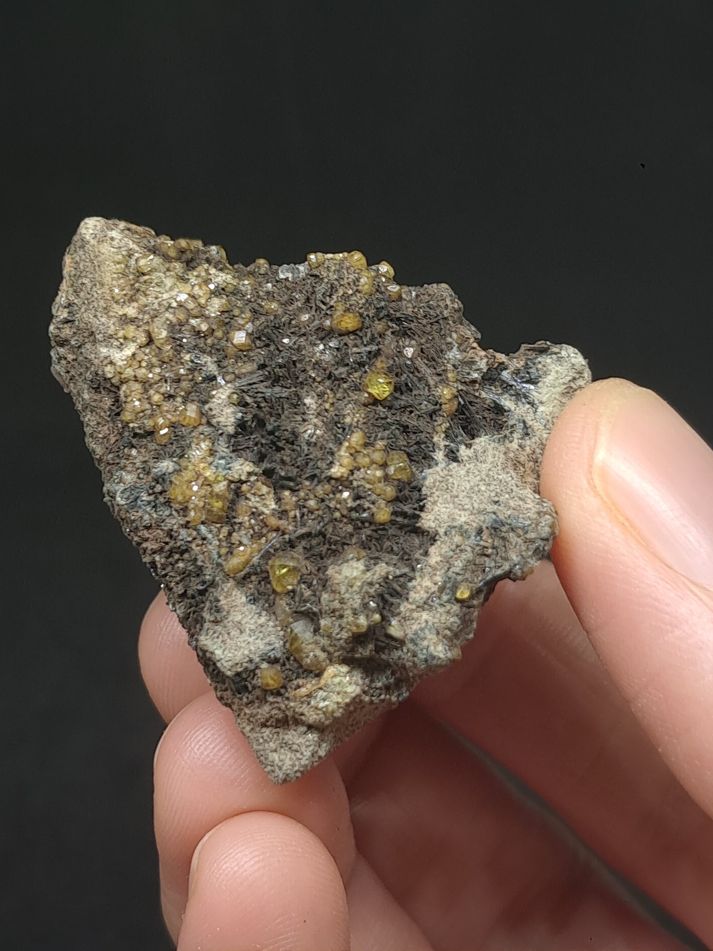 Green Garnet w/ Aegirine (Acmite) on Matrix (Mexico) Andradite Garnet Cluster |Rough Crystal Stone | Mineral Specimen #GR28