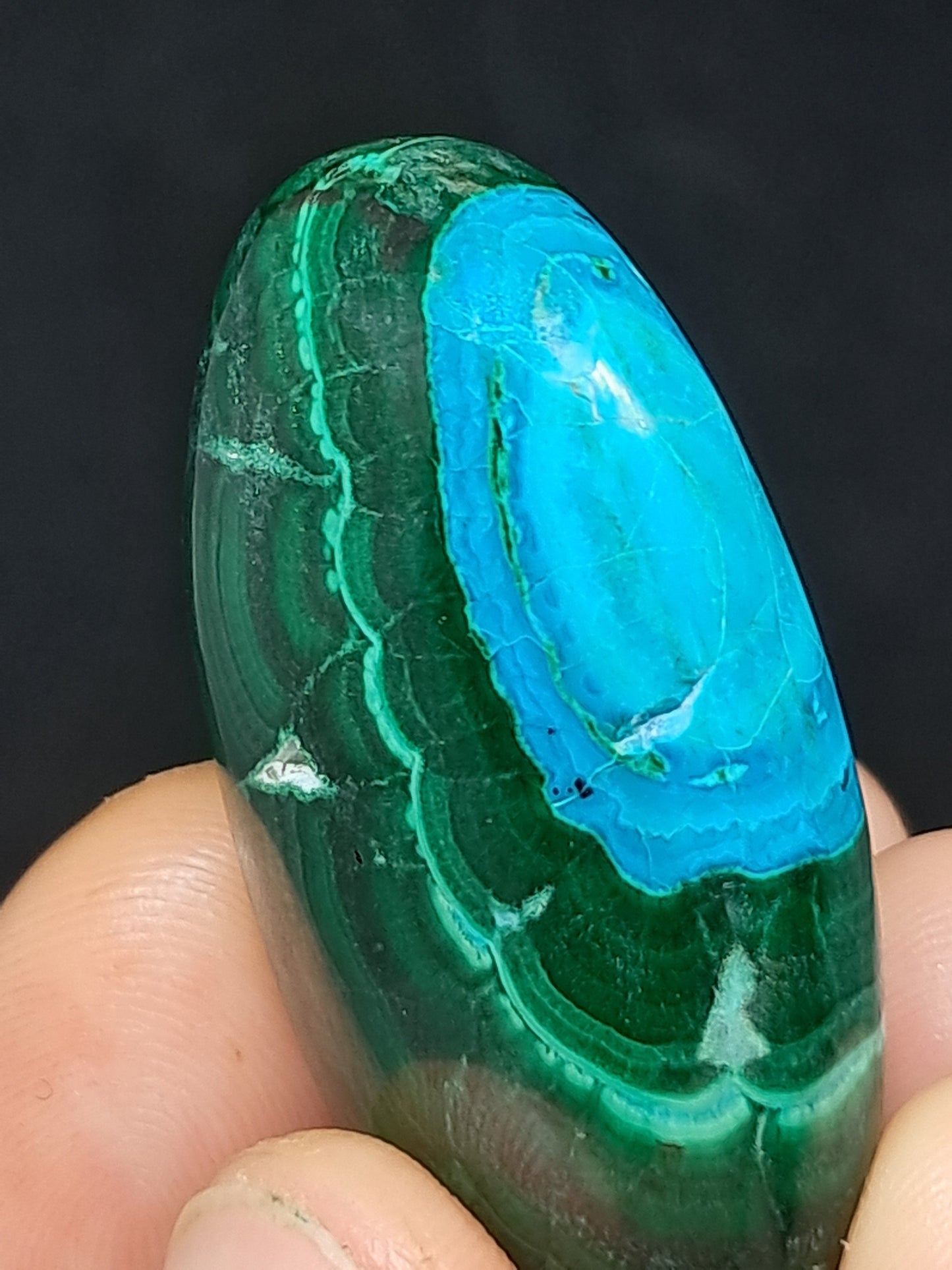Chrysocolla Malachite Palmstone | Polished Natural Stone | Good Quality #CM25