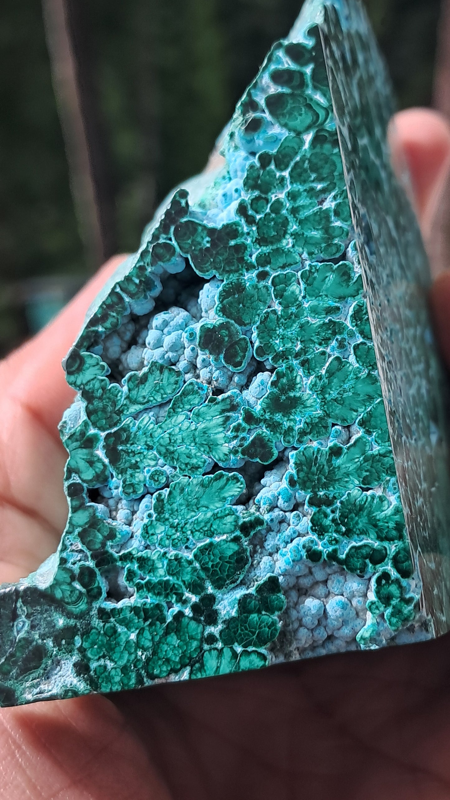 Malachite w/ Chrysocolla | Half Polished Half Rough | Natural Stone | Large Size | Beautiful Patterns #CM27
