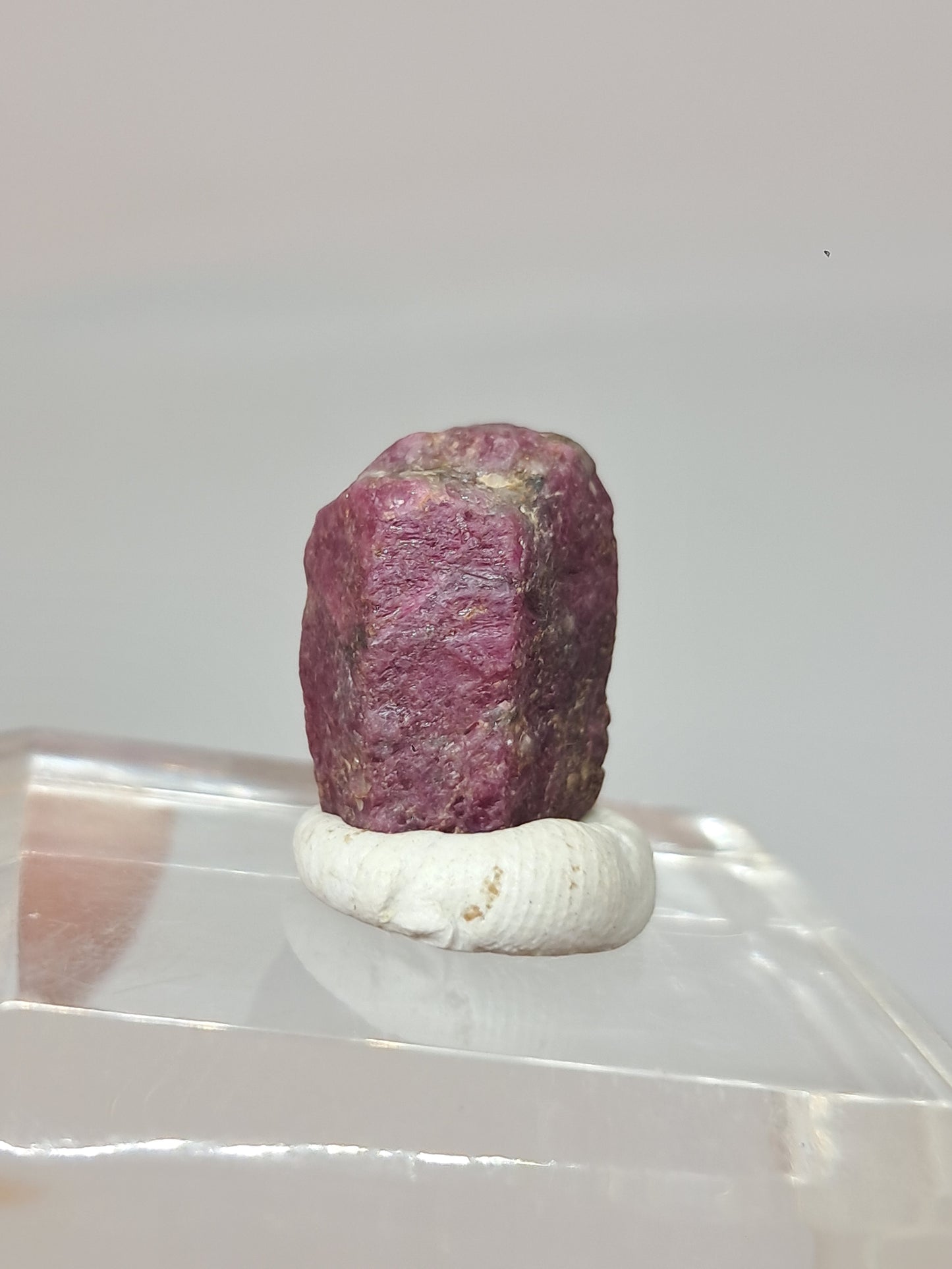 Cristal de Rubí en Bruto (Tamil Nadu) Piedra Natural | Muestra Mineral #RB32