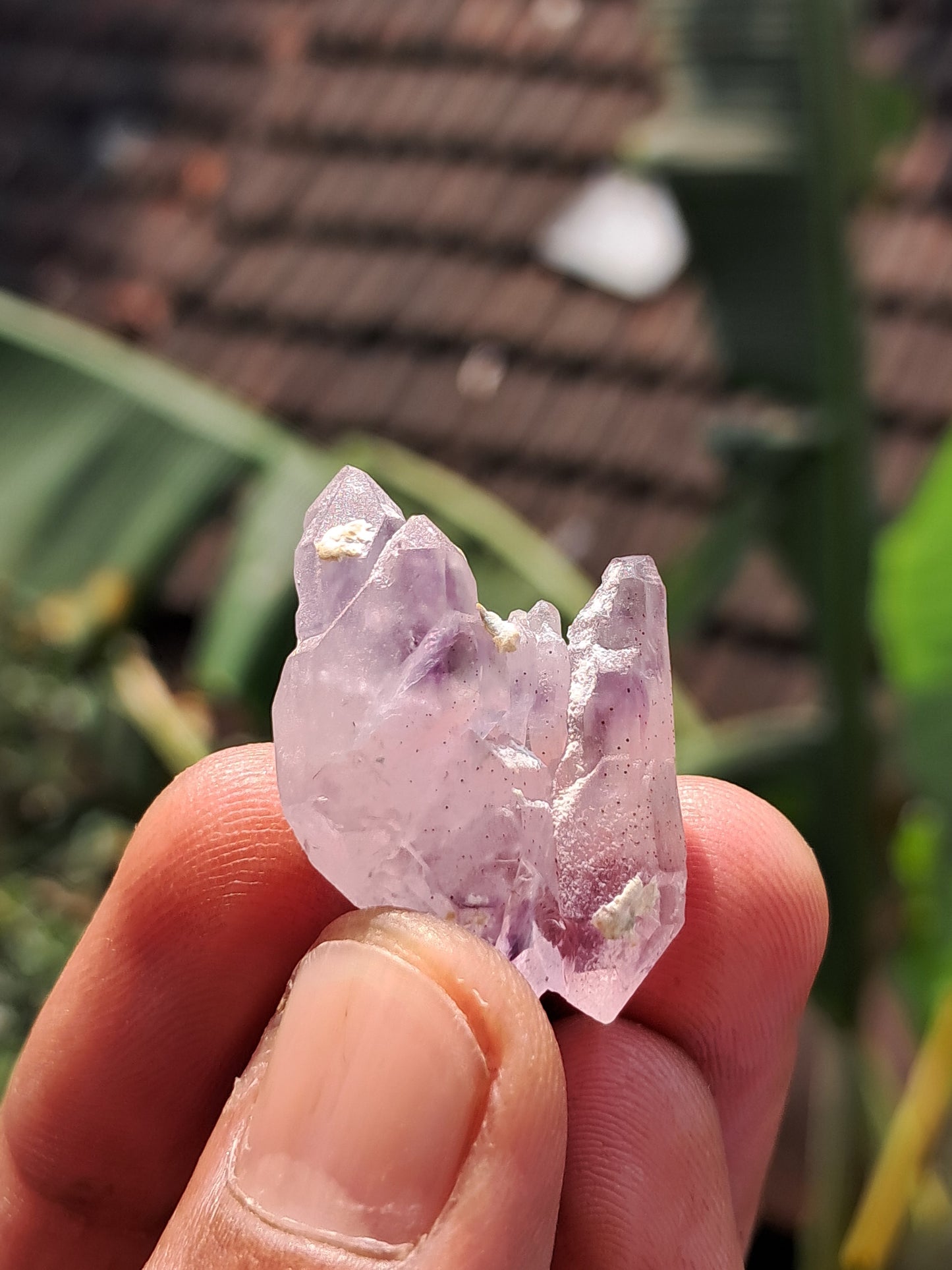 Amethyst Scepter cluster from Karur | Natural Crystal | Mineral Specimen #KA176