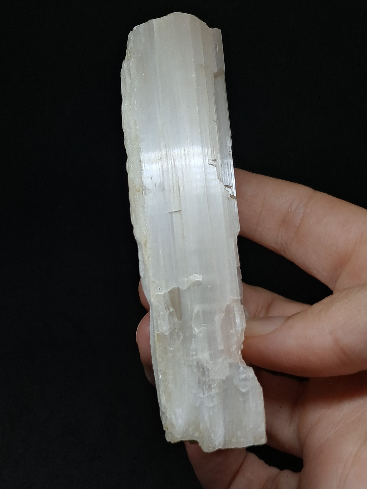 Satin Spar *Selenite* (India) Fibrous Gypsum | Mineral Specimen | Rough Crystal #SE1