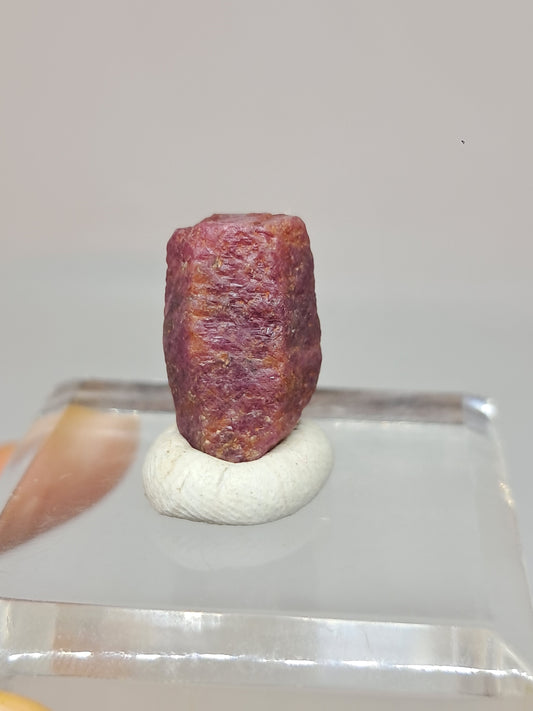 Rough Ruby Crystal (Tamil Nadu) Natural Stone | Mineral Specimen #RB30