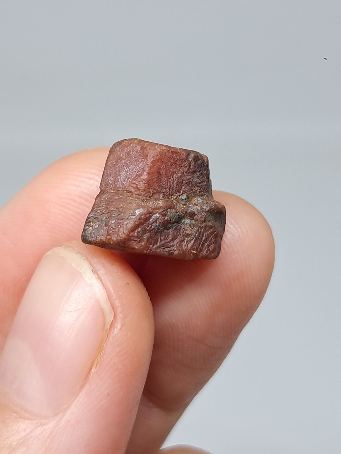 Rough Ruby Crystal w/ Record Keeper (Tamil Nadu) Natural Stone | Mineral Specimen #RB17