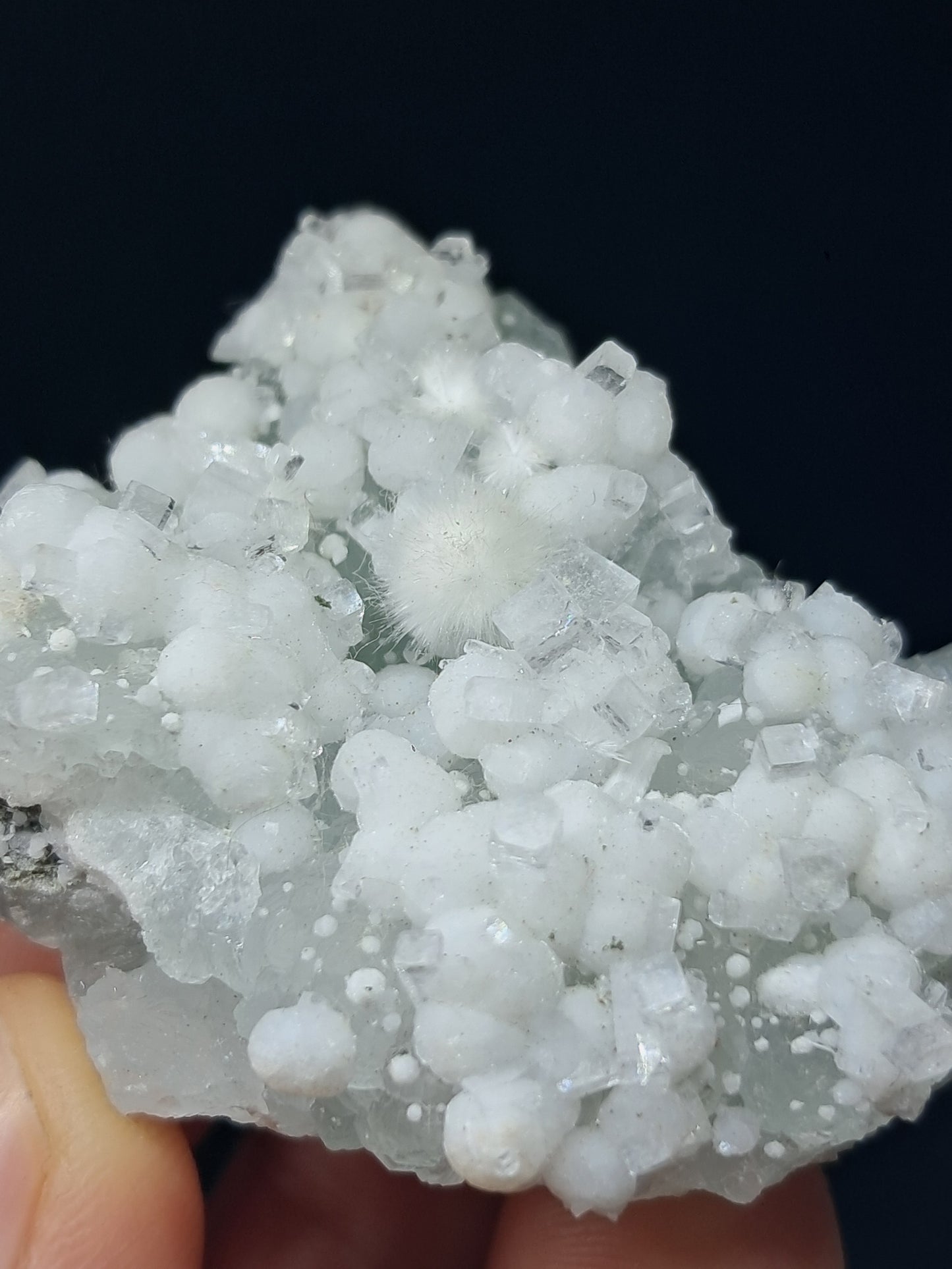 Okenite w/ Gyrolite and Apophyllite Cluster on Prehenite Matrix (Mumbai) Mineral Specimen | Collector Grade | Natural Crystal #OK46