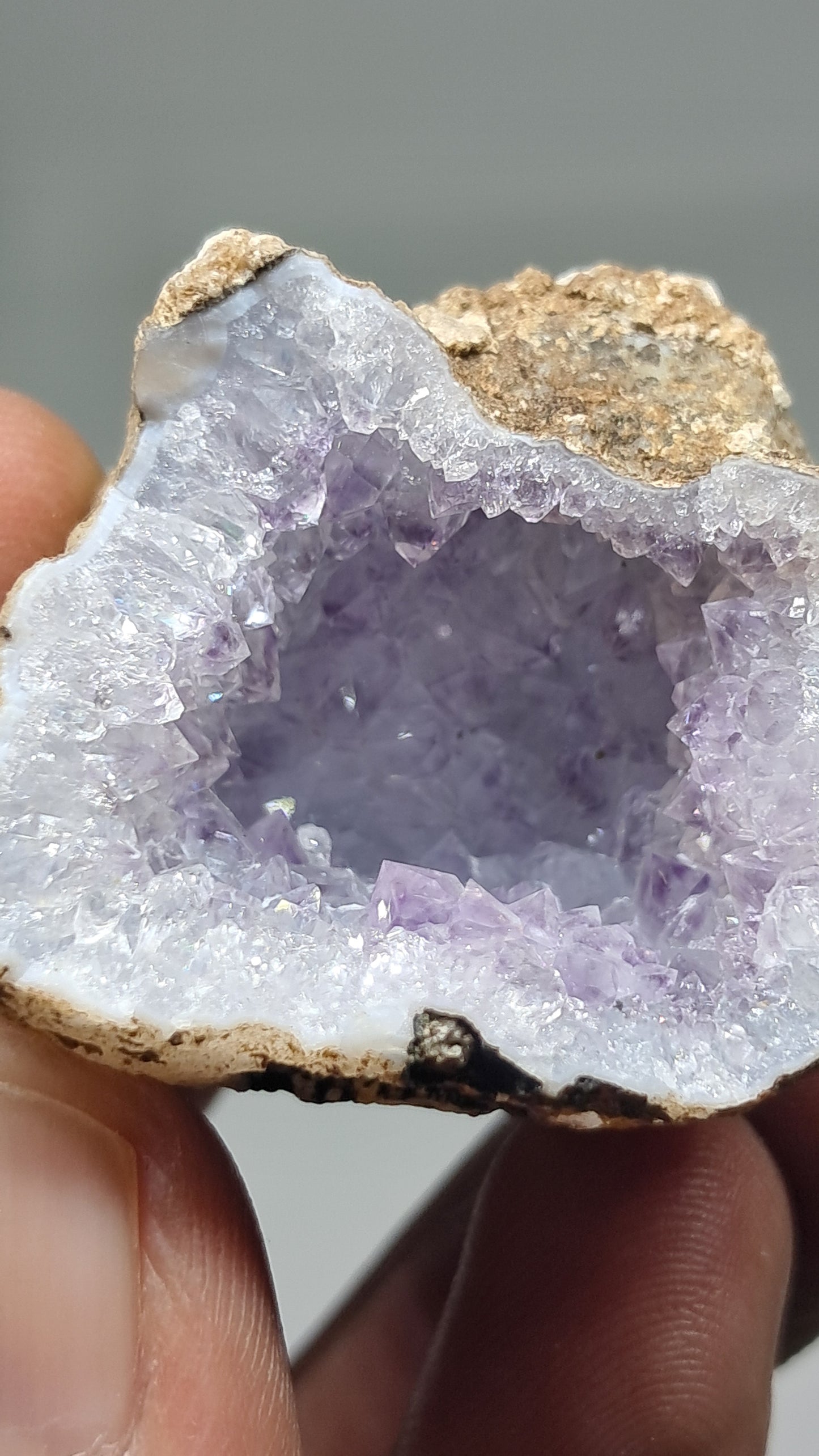 Geoda de amatista (Ajanta) | Cavidad profunda | Cristal natural | Piedra en bruto #GD29